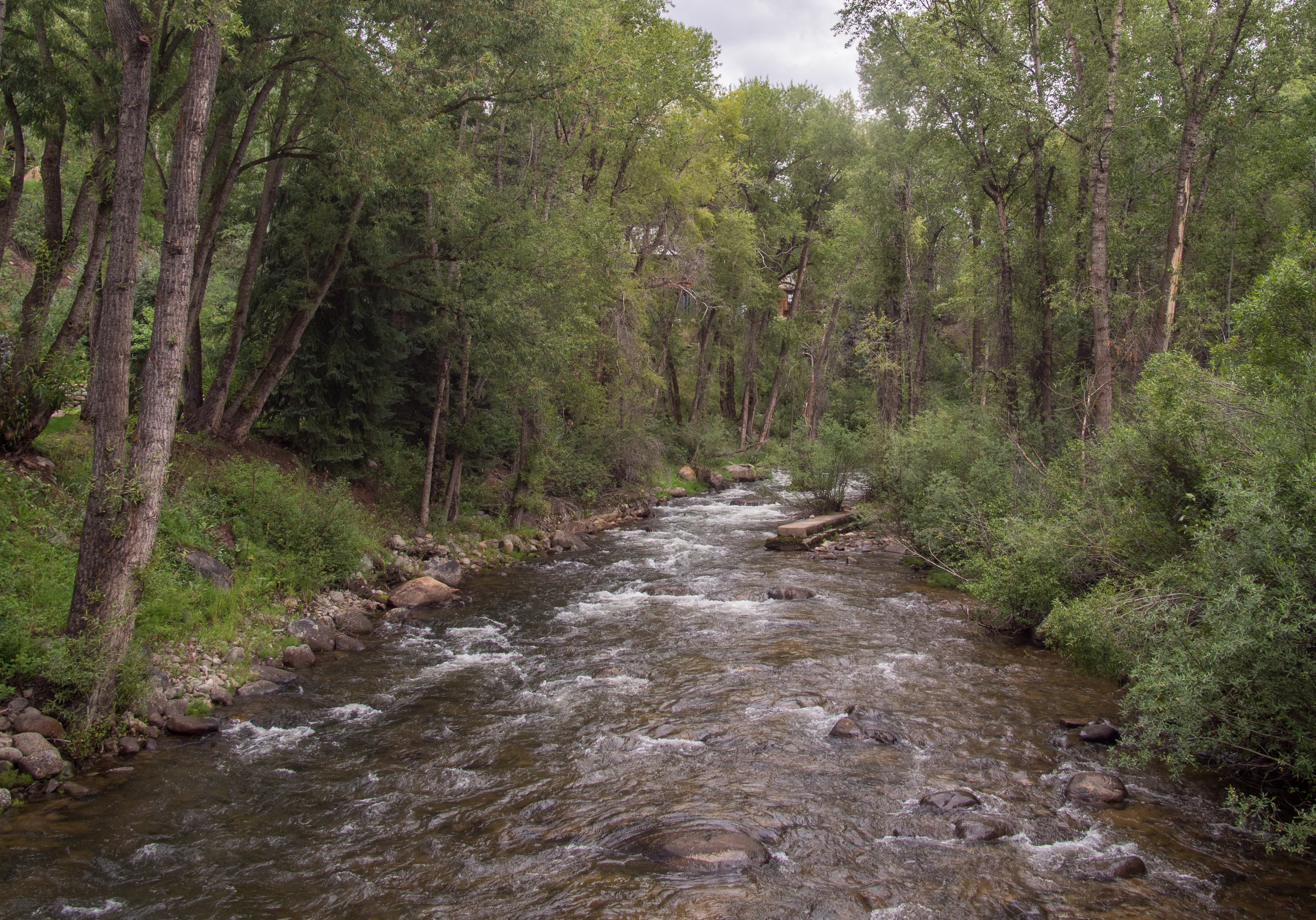 Roaring Fork River fly fishing