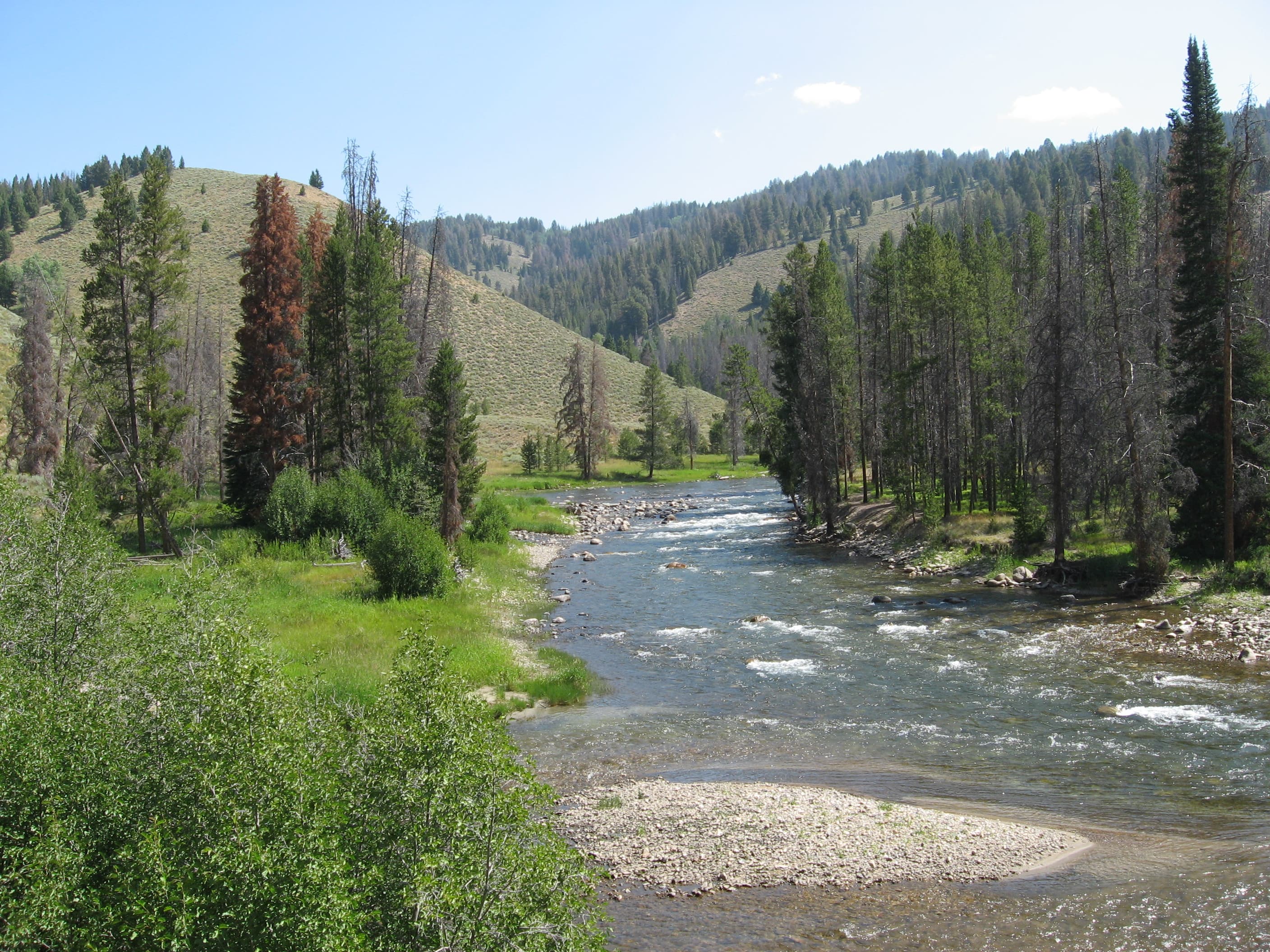 Salmon River fly fishing