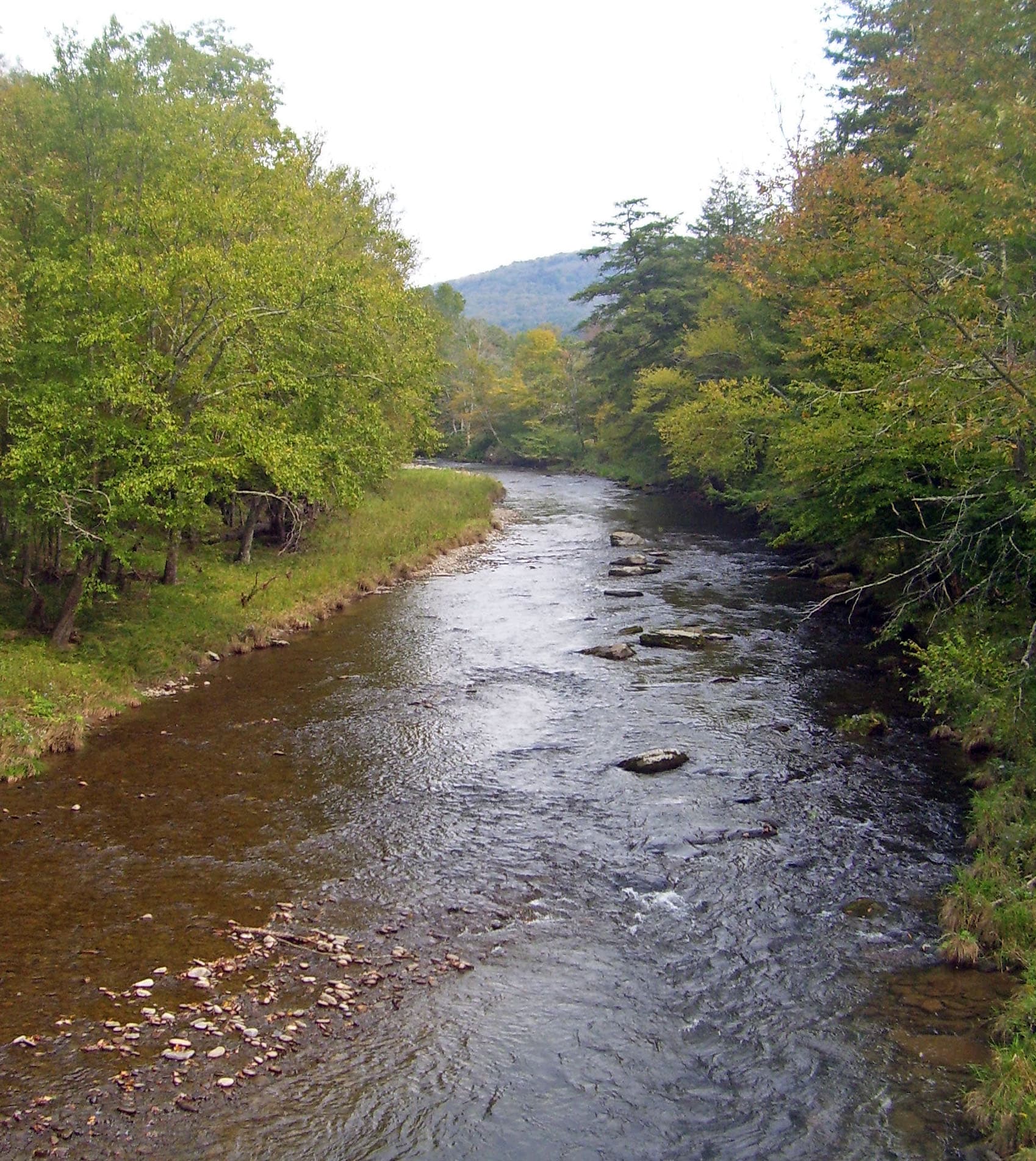 Willowemoc Creek fly fishing