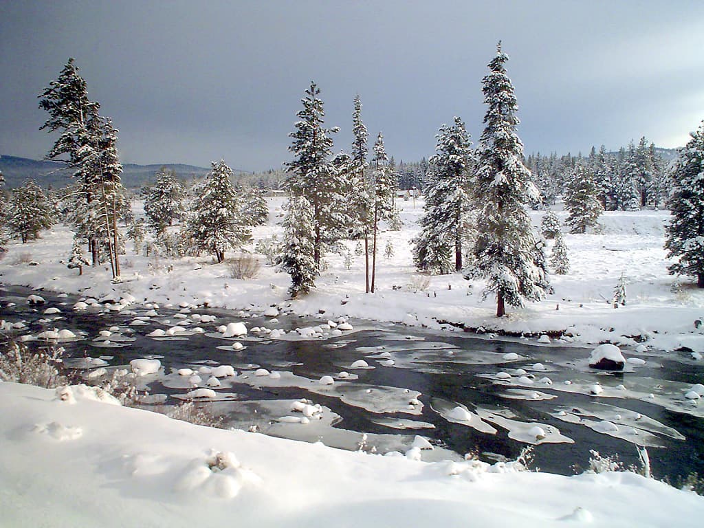 Truckee River (Nevada)