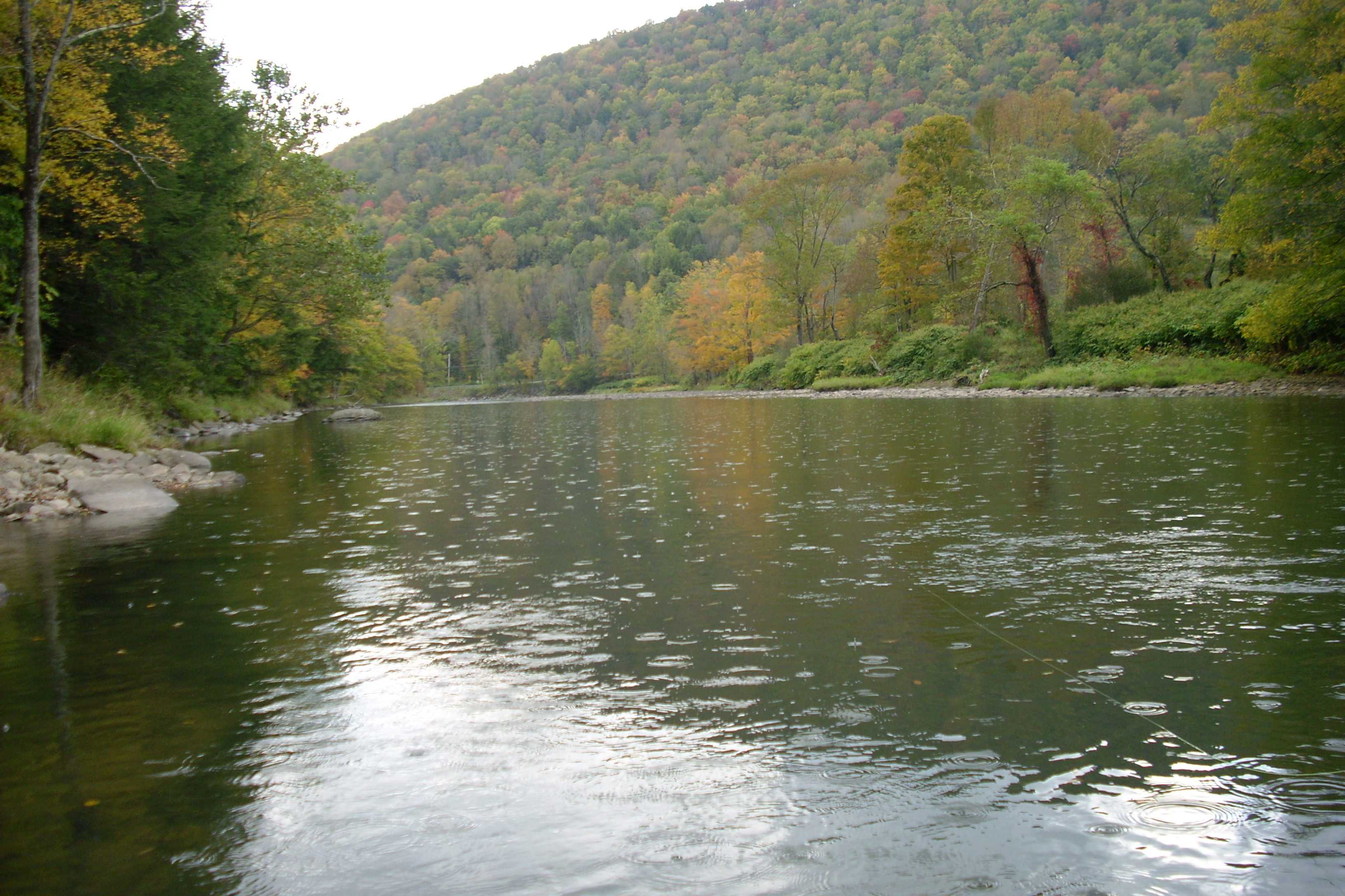 Beaverkill River fly fishing