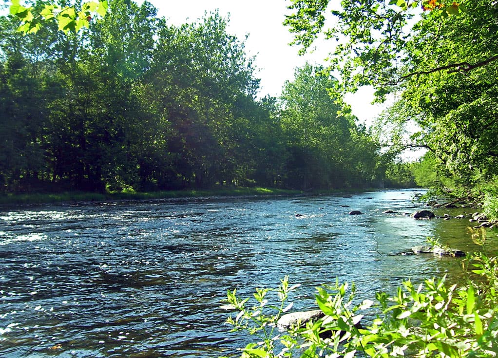 Neversink River fly fishing