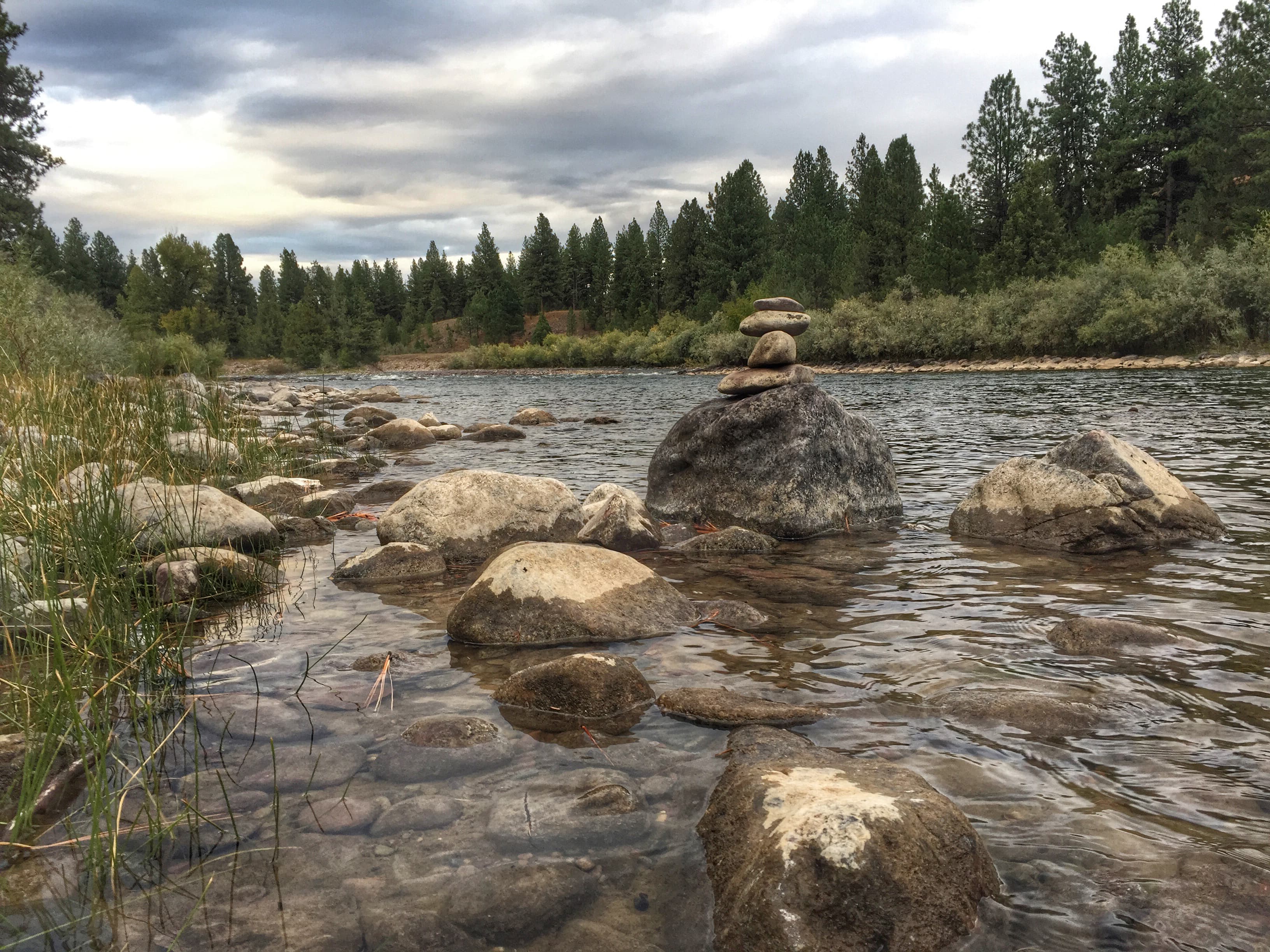 Blackfoot River fly fishing
