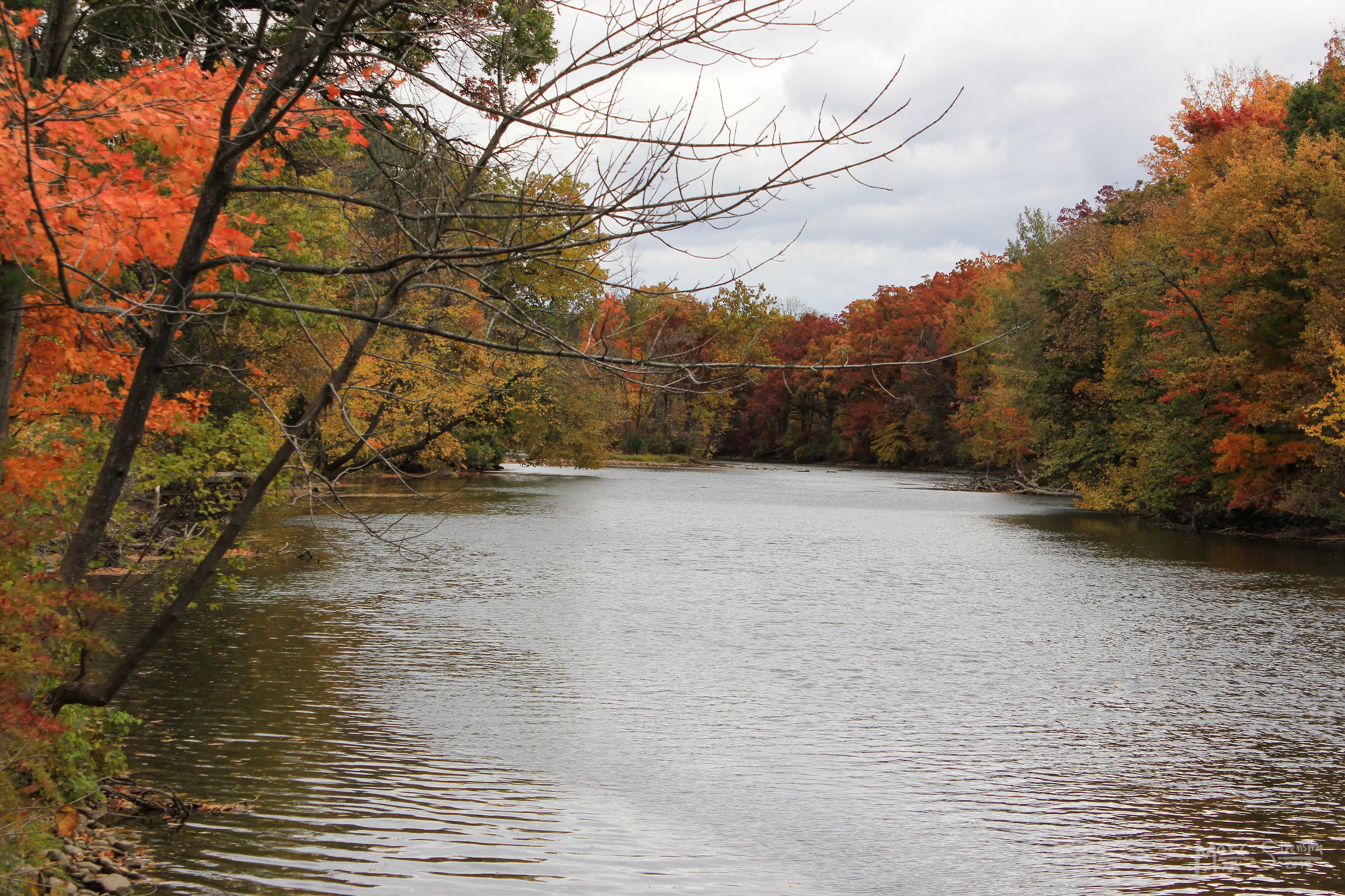 Muskegon River fly fishing