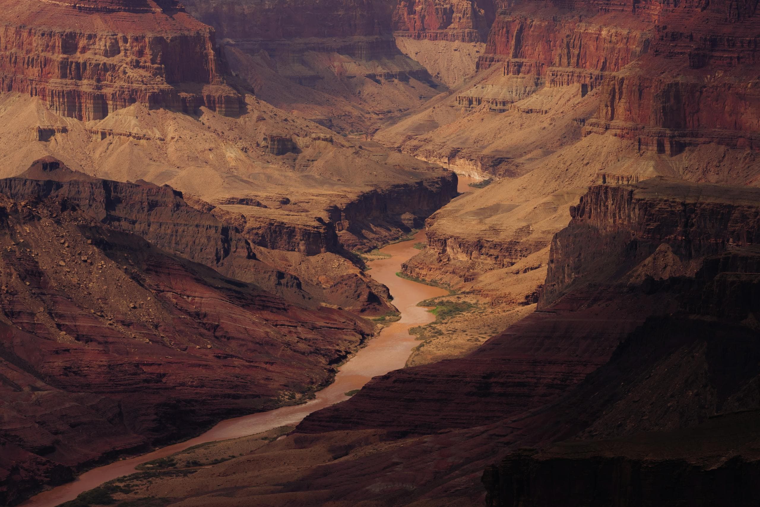 Fly fishing in Arizona