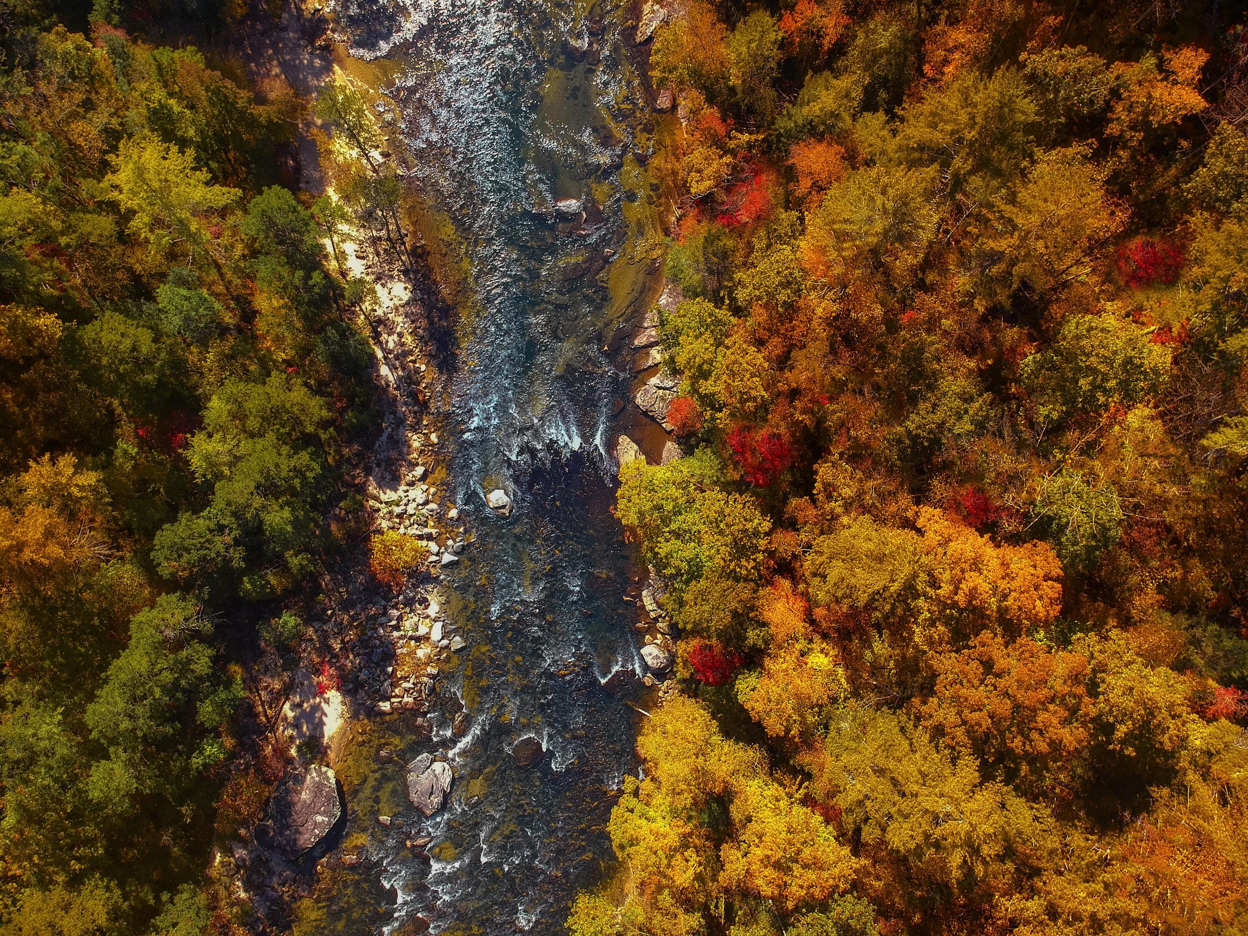 Fly fishing in Georgia