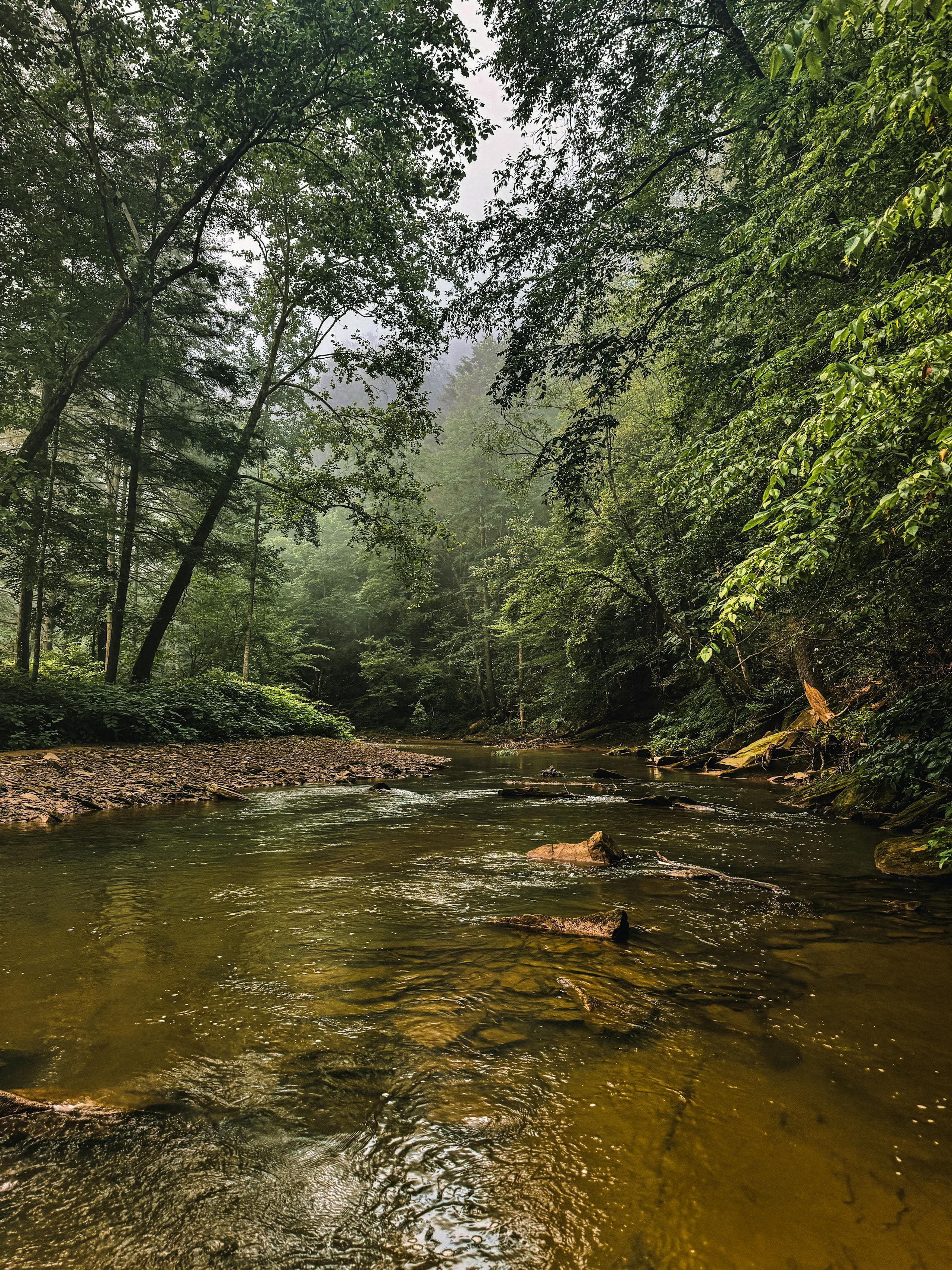 Fly fishing in Kentucky