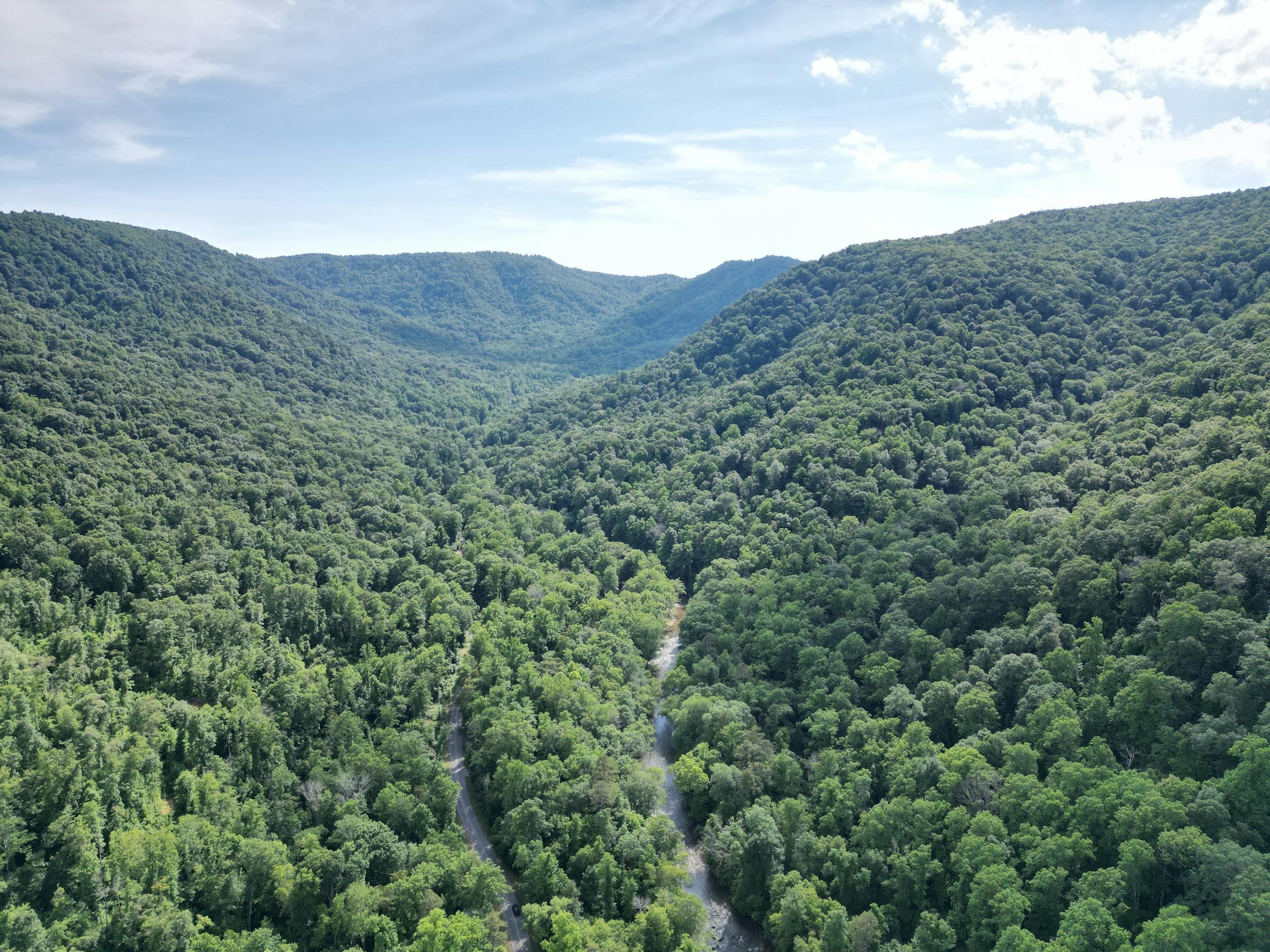 Fly fishing in North Carolina
