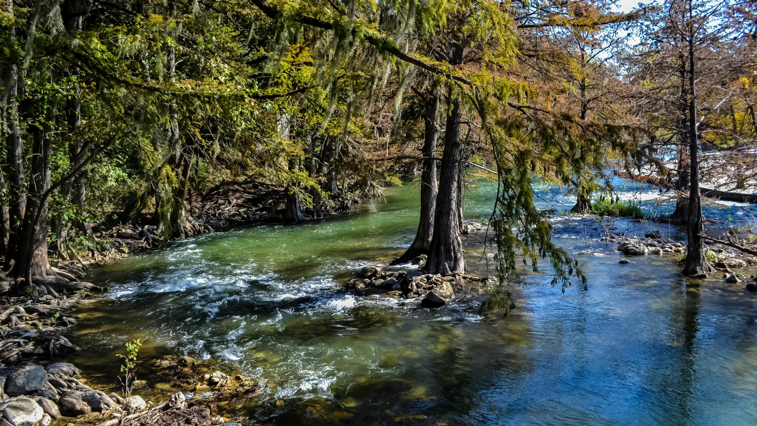 Fly fishing in Texas