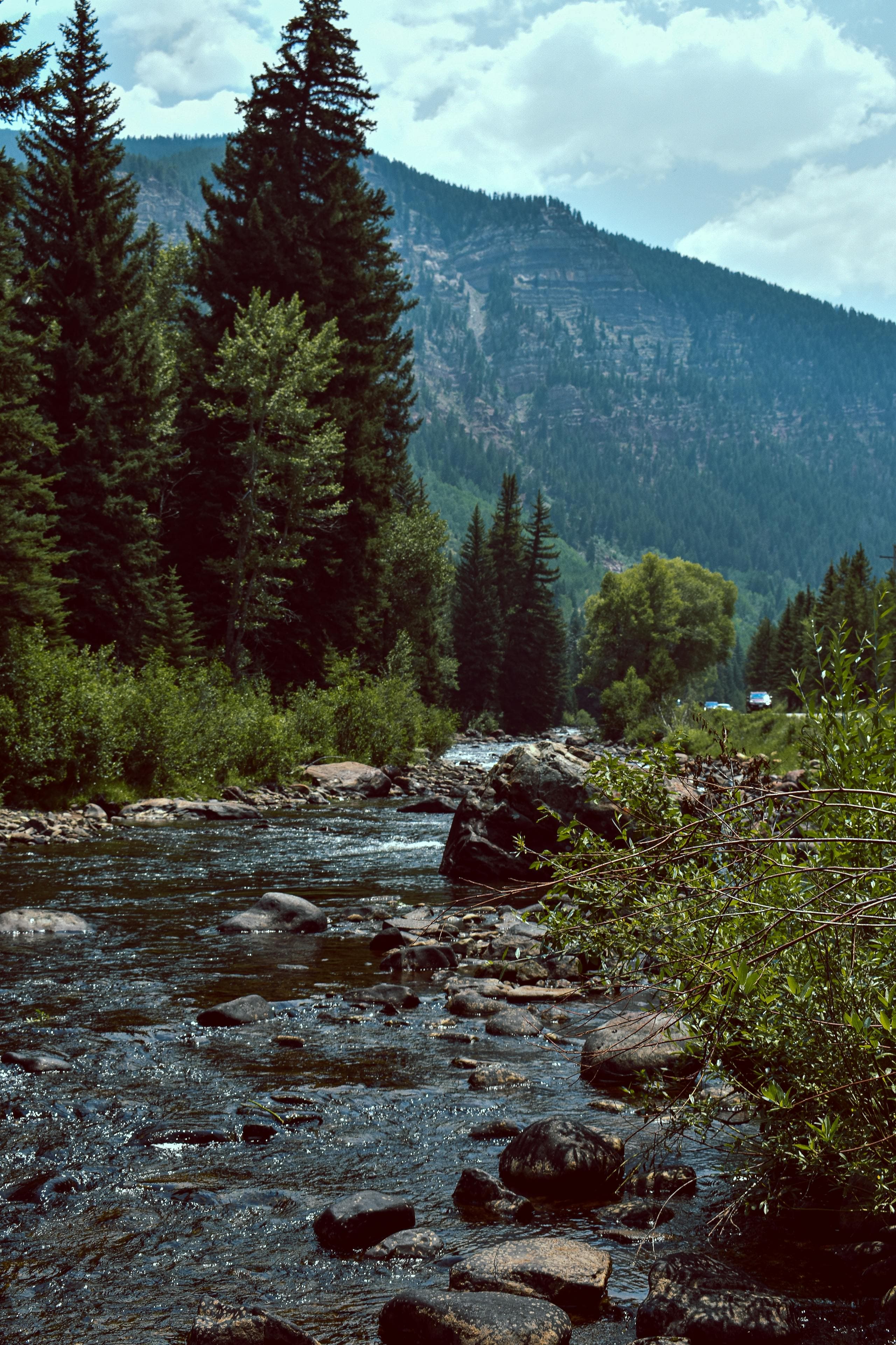 Animas River