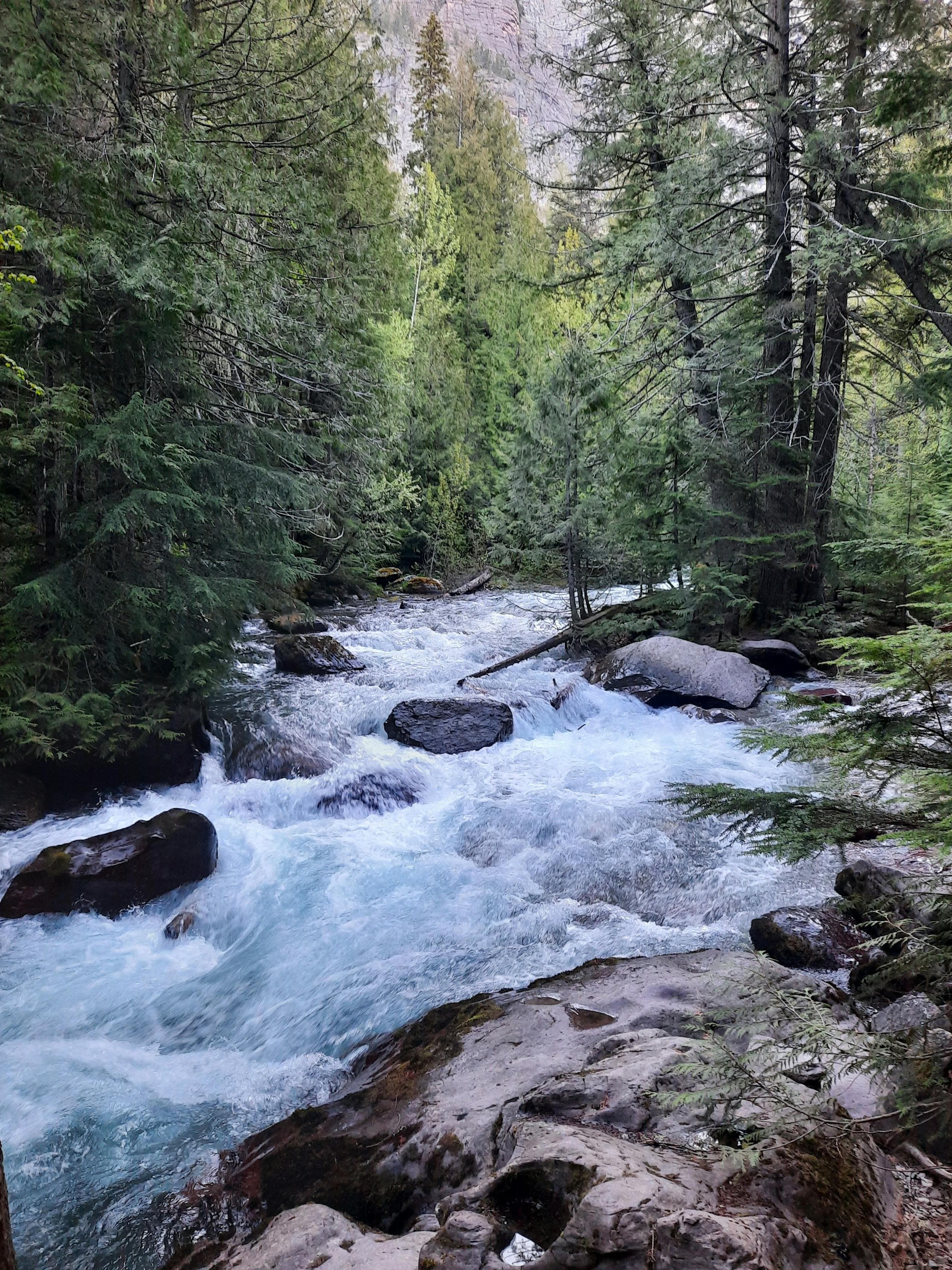Blackfoot River