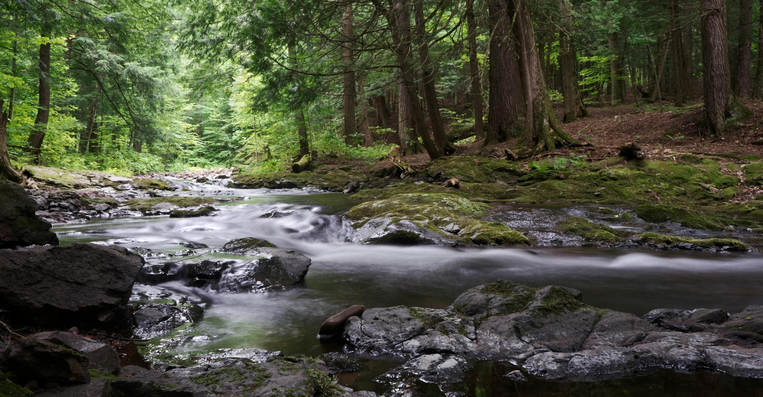 Boardman River