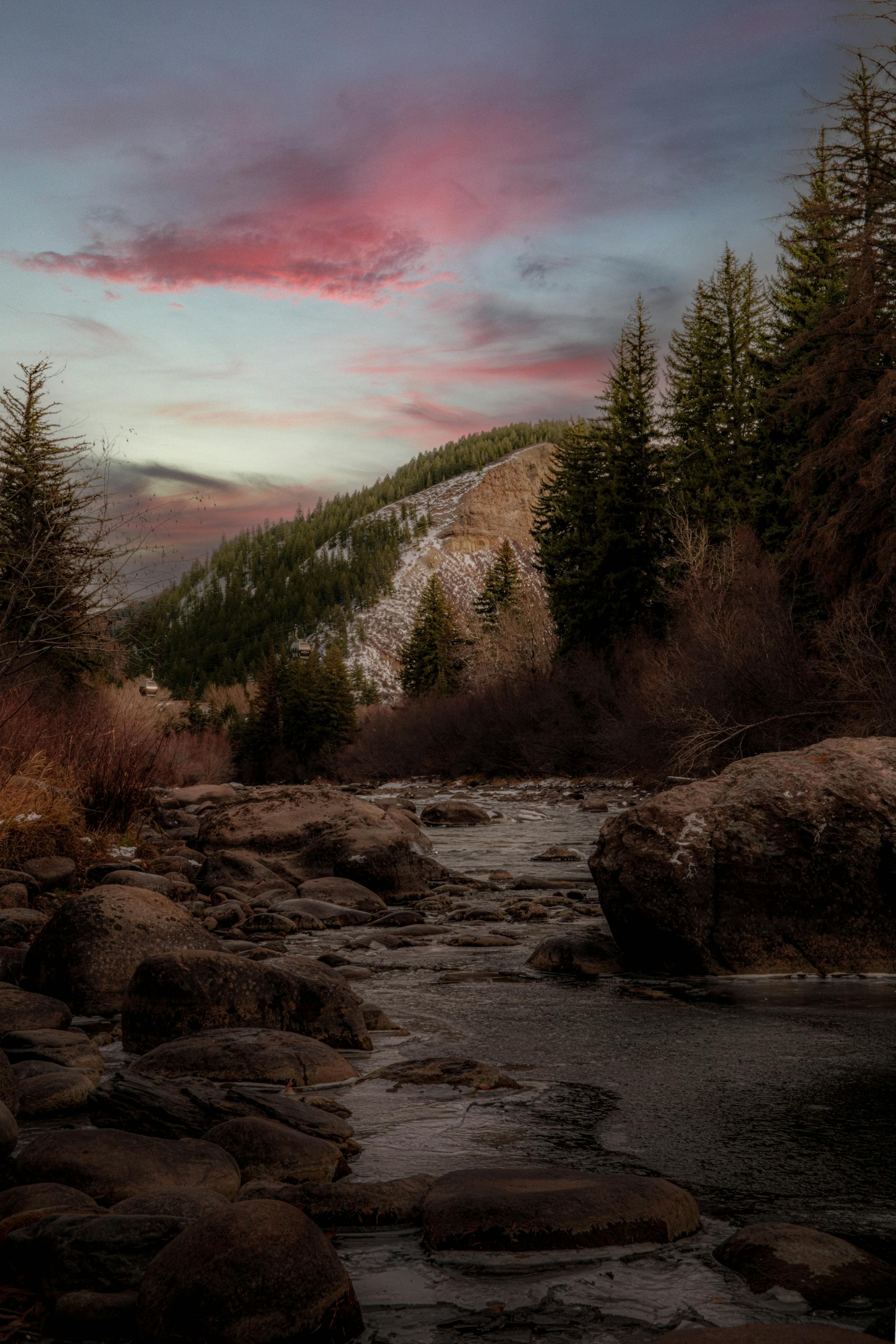Cache La Poudre River