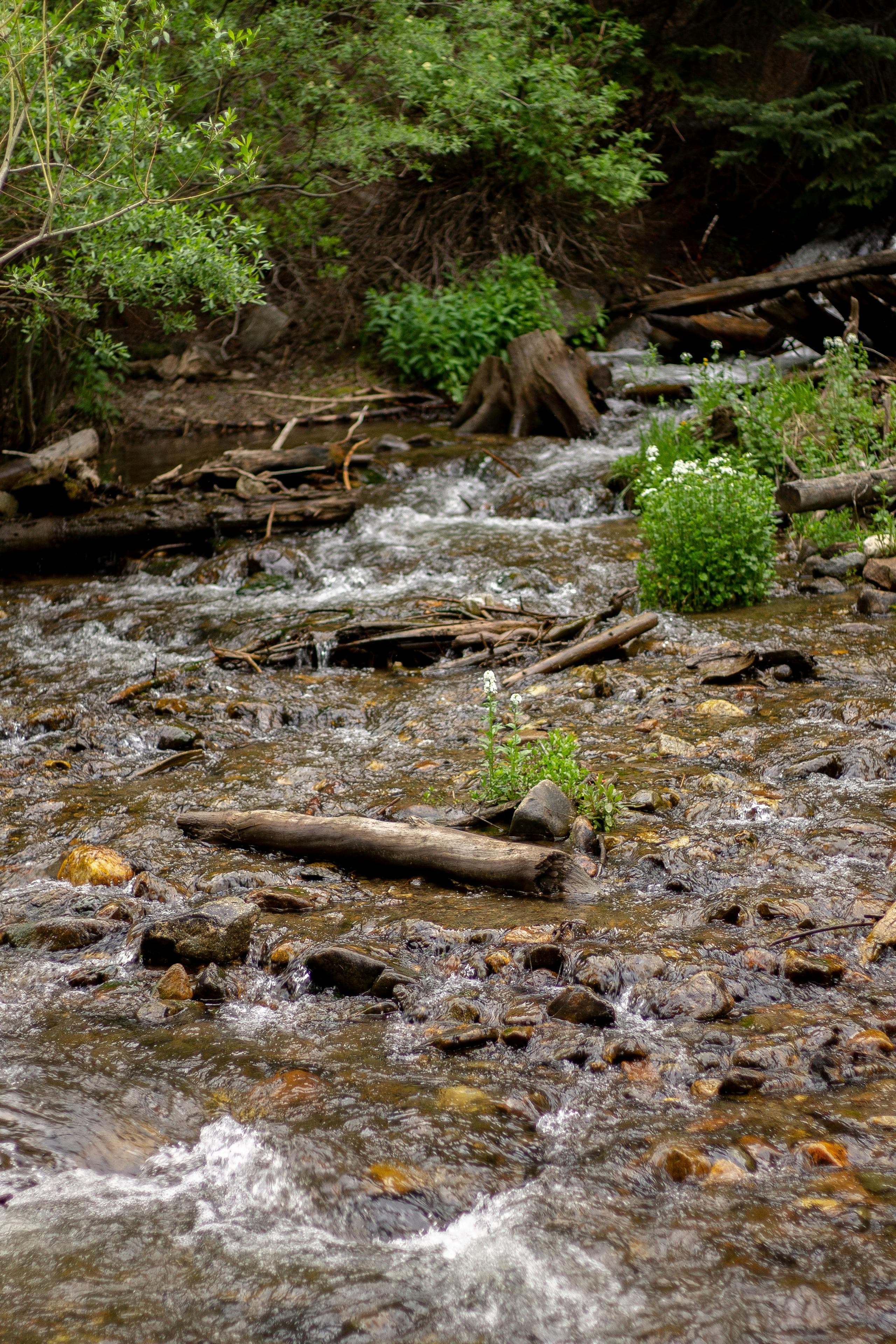 Eagle River