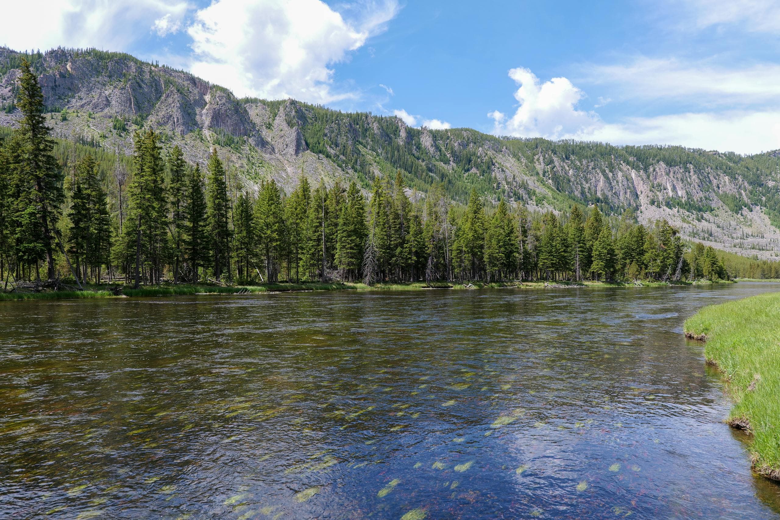 Lamar River