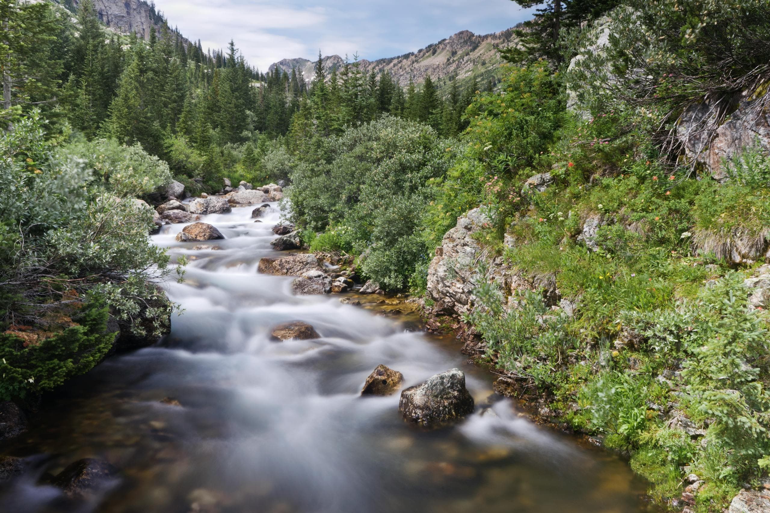 Gibbon River