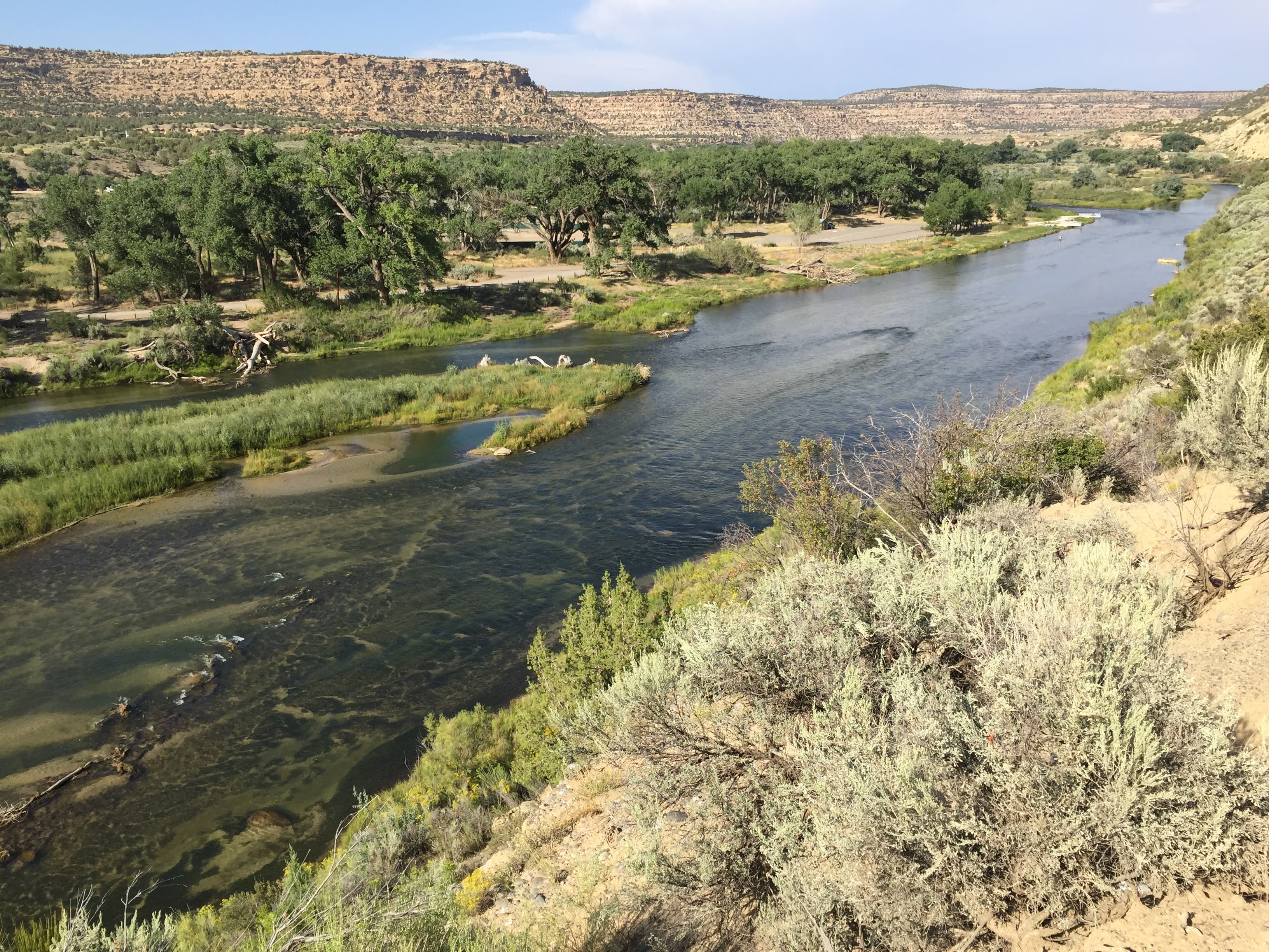 San Juan River fly fishing