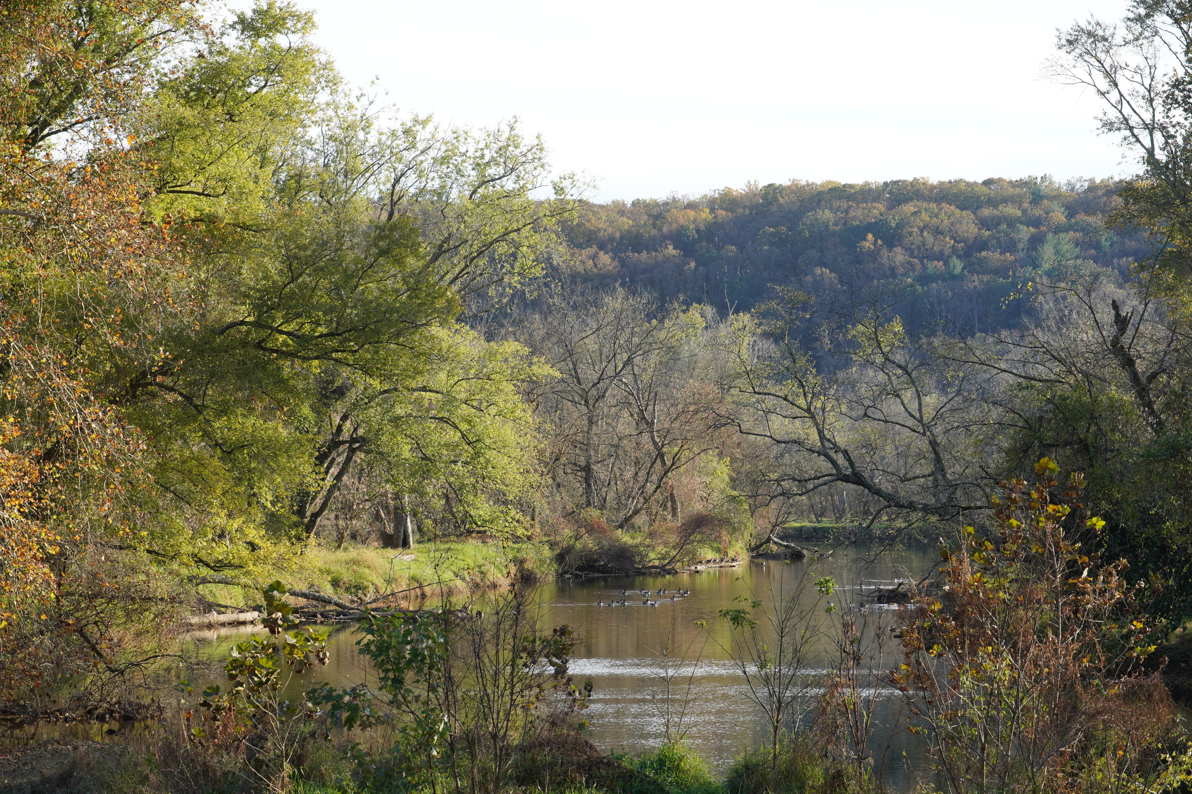 Big Gunpowder Falls River fly fishing