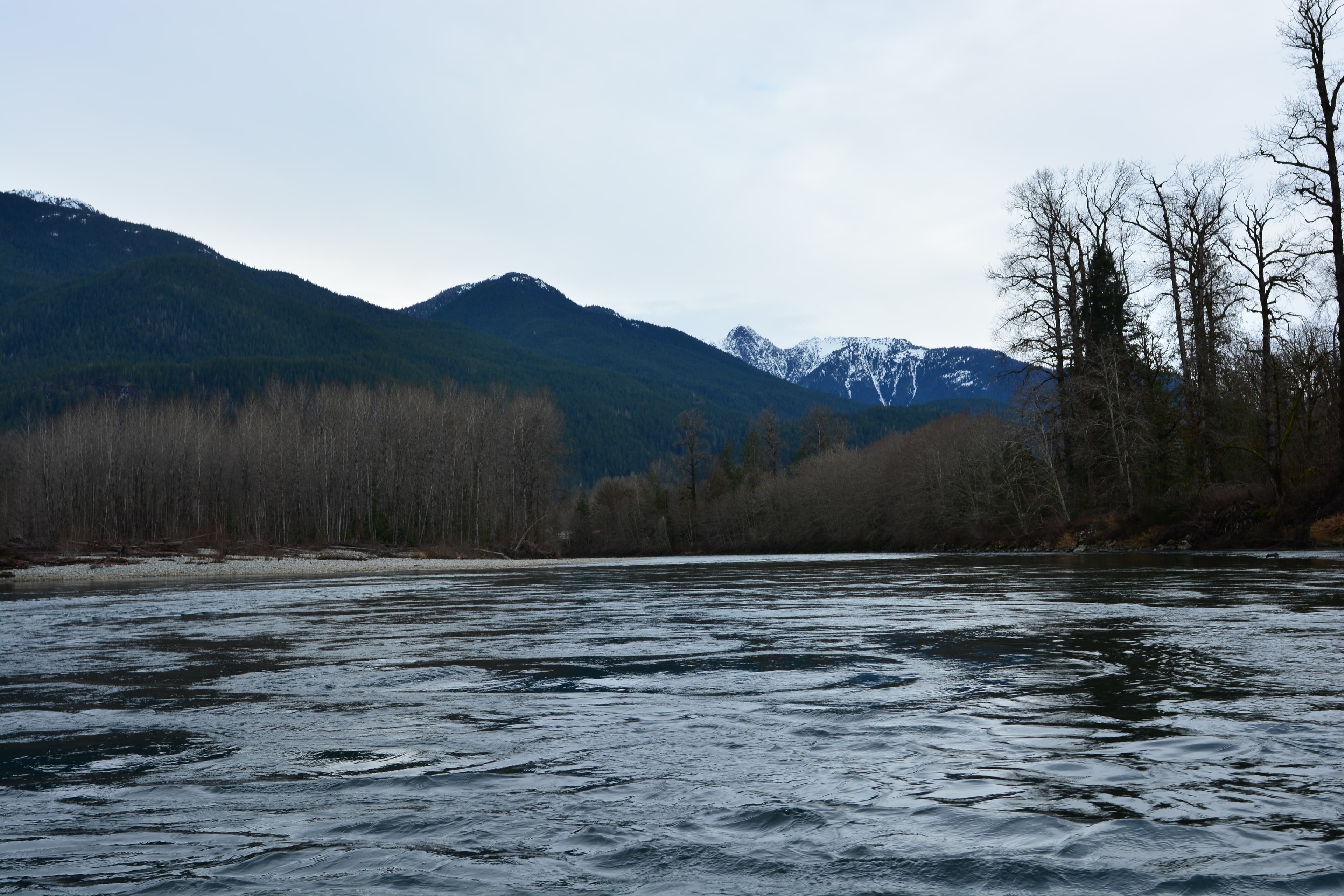 Skagit River