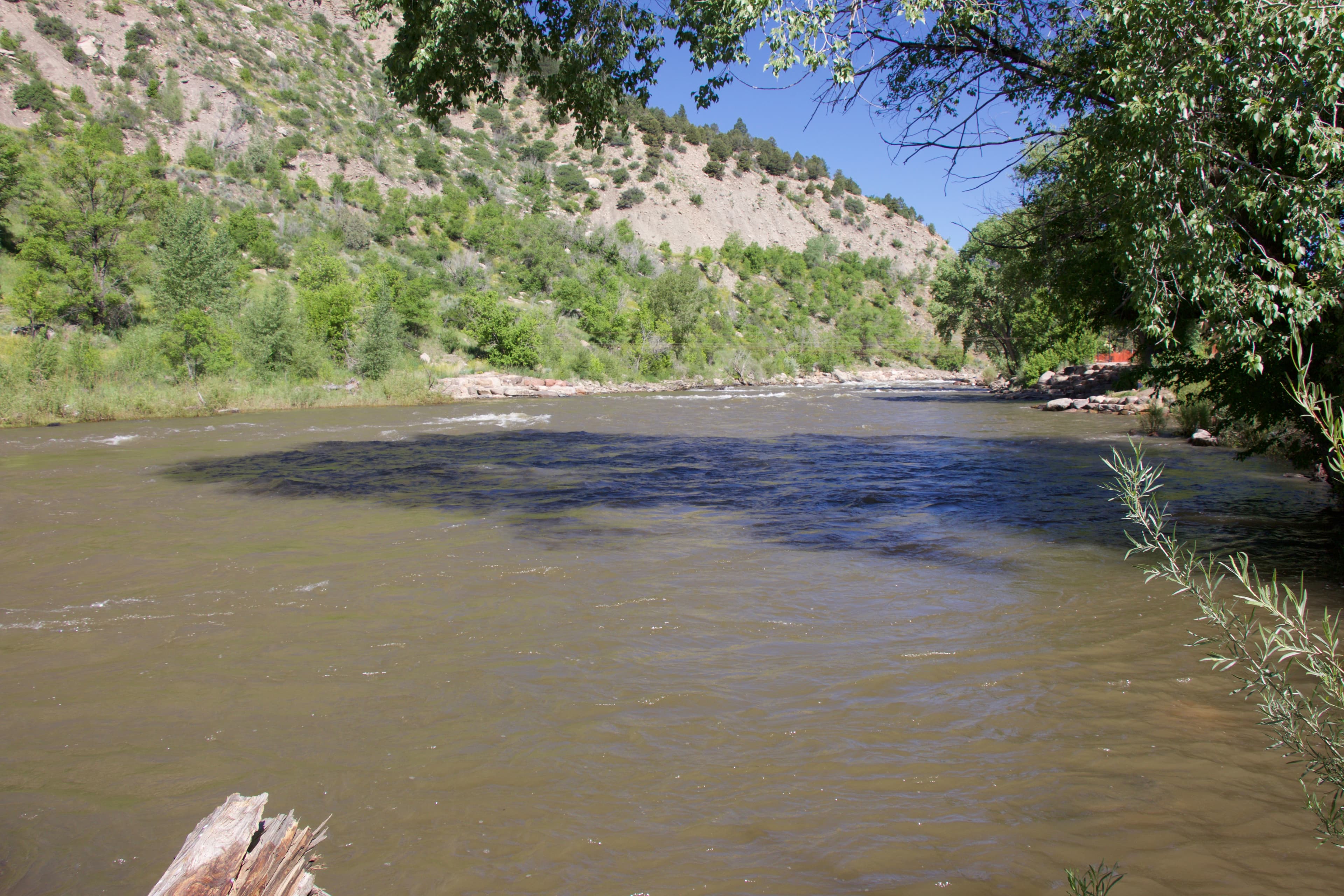 Animas River fly fishing