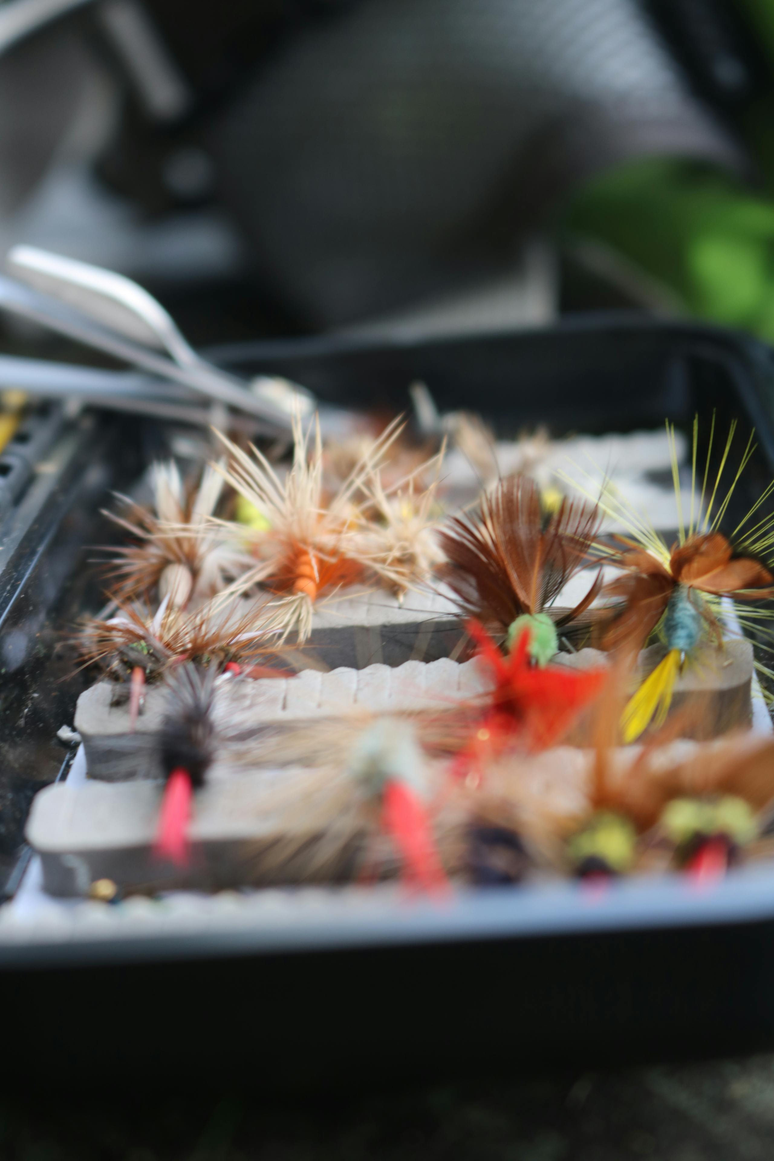 The Essential Fly Box: 20 Patterns Every Angler Needs | Executive Angler