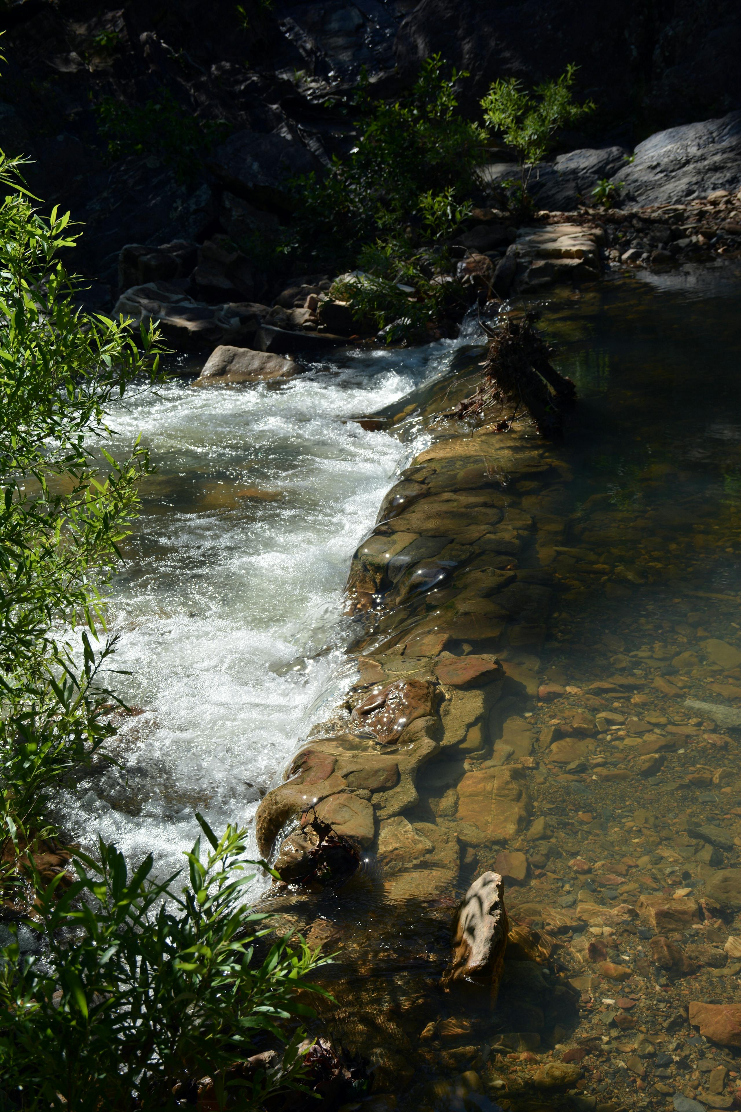 Fly fishing in Arkansas