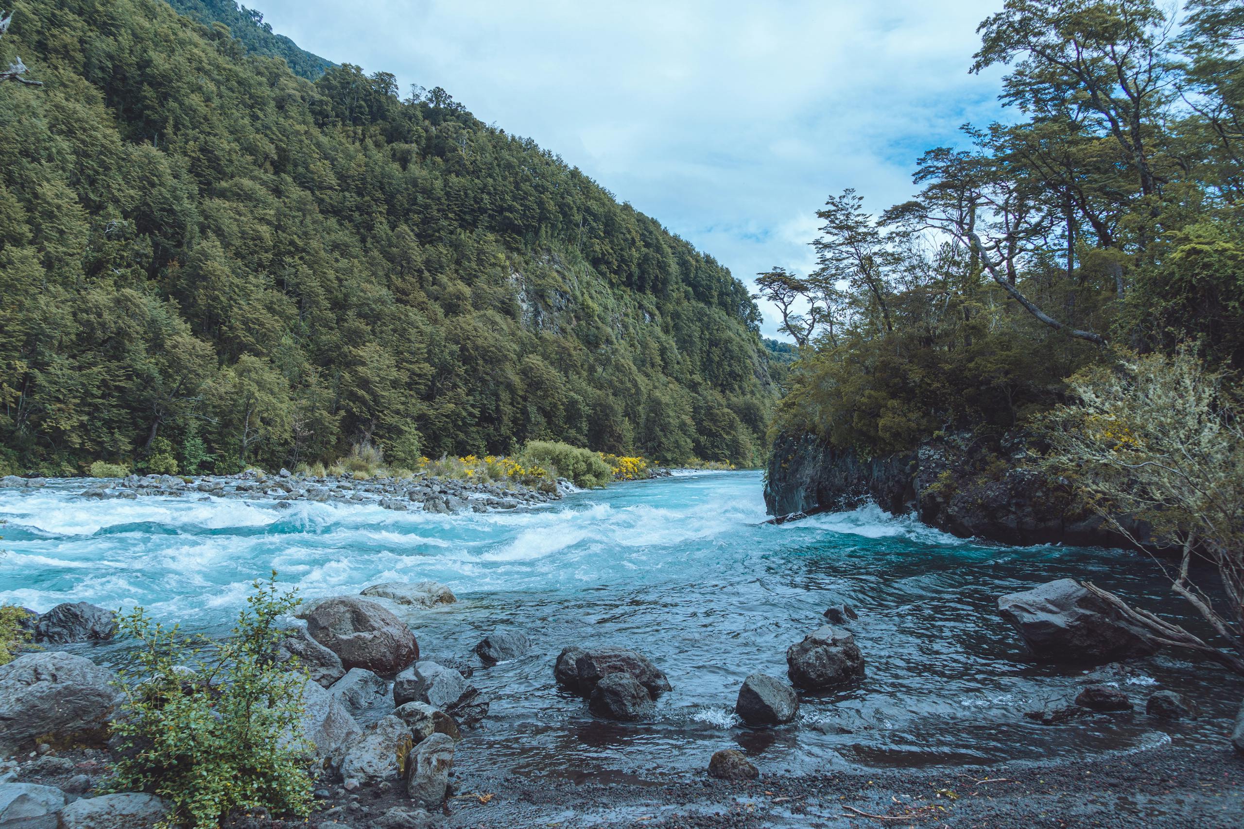 Fly fishing in Chile