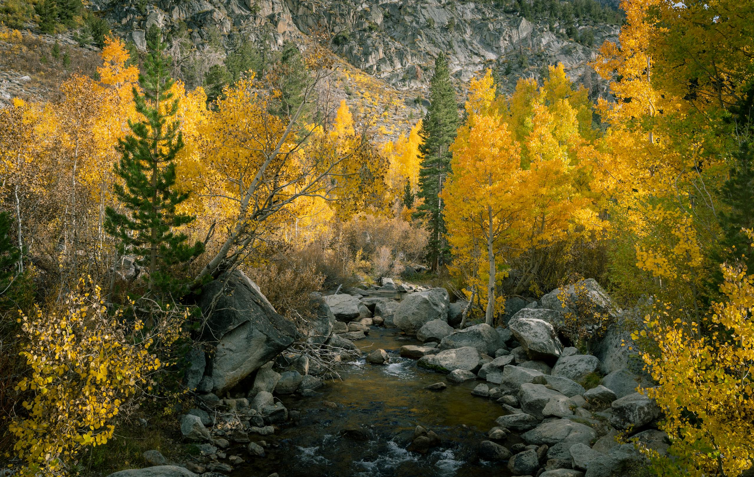 Fly fishing in Colorado