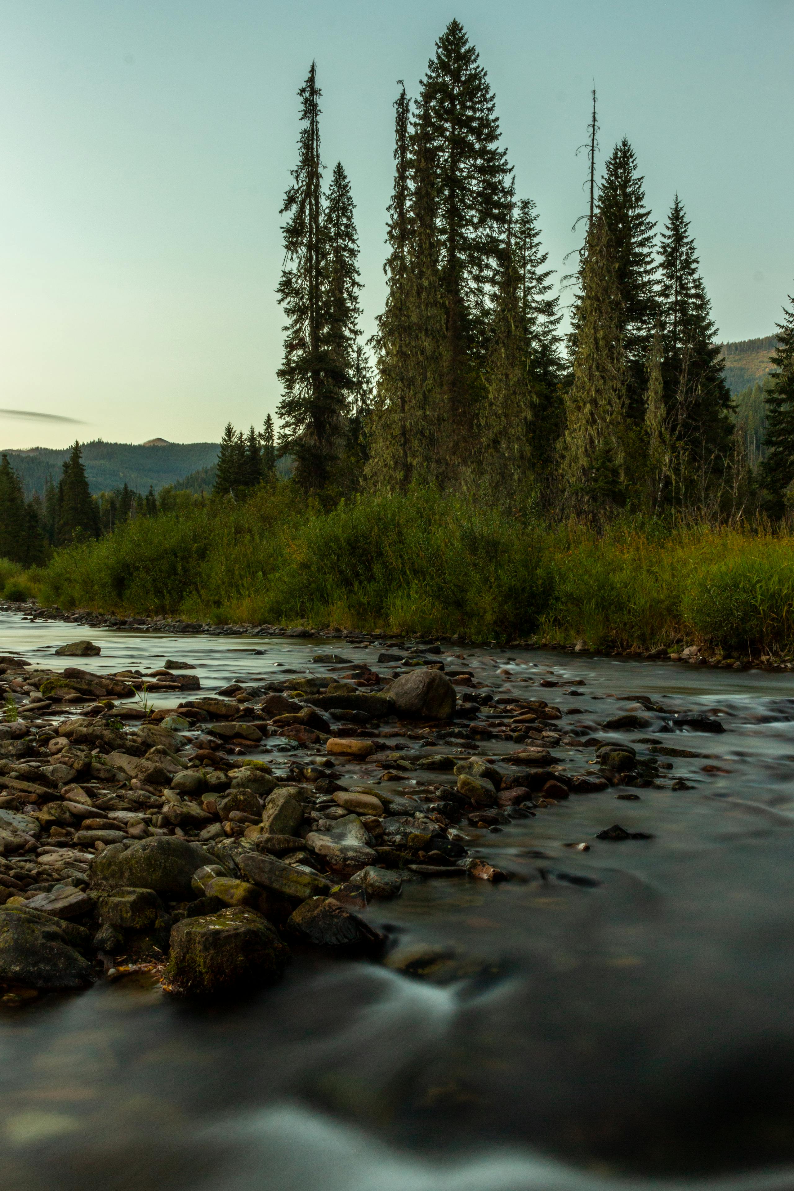 Fly fishing in Idaho