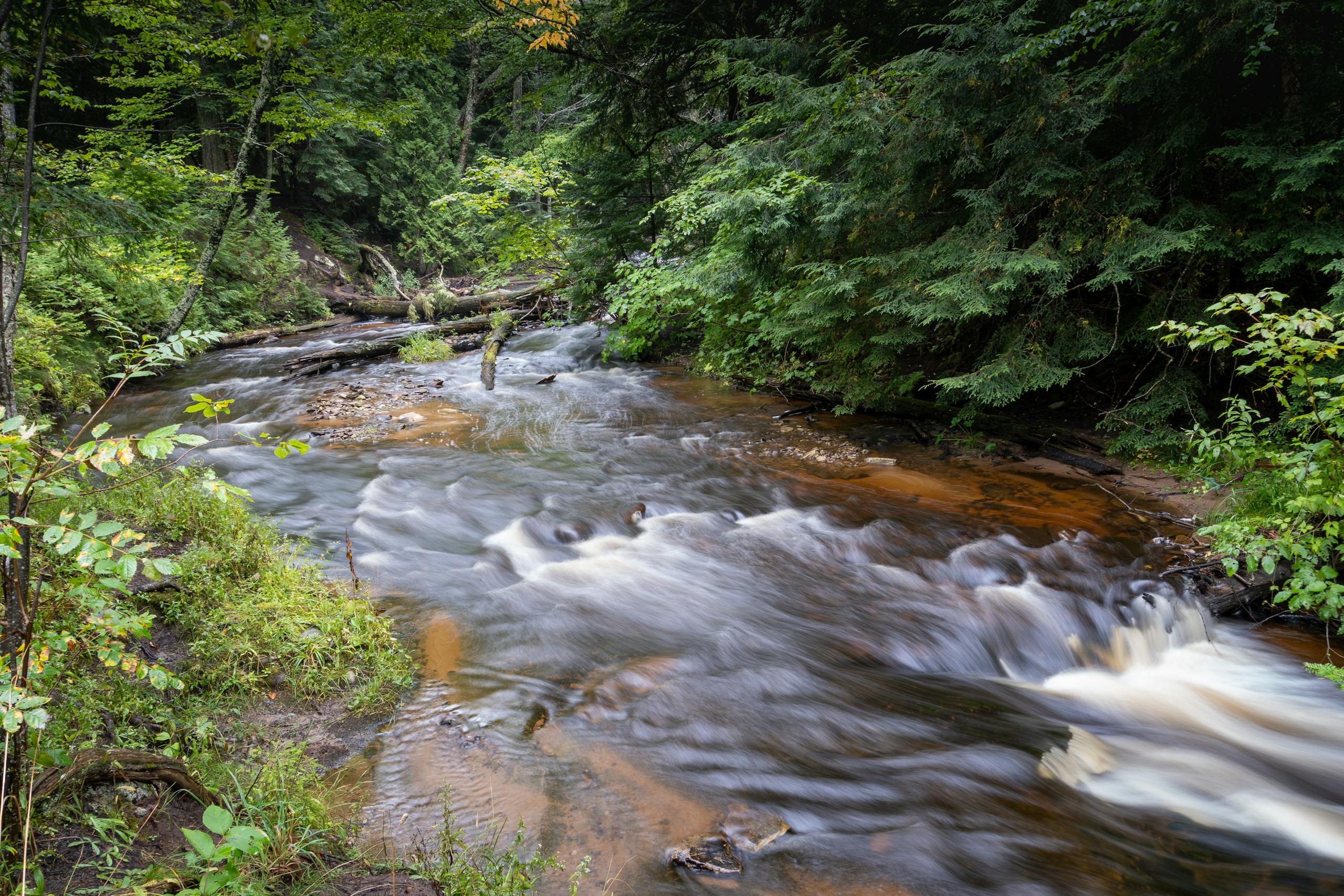 Fly fishing in Michigan