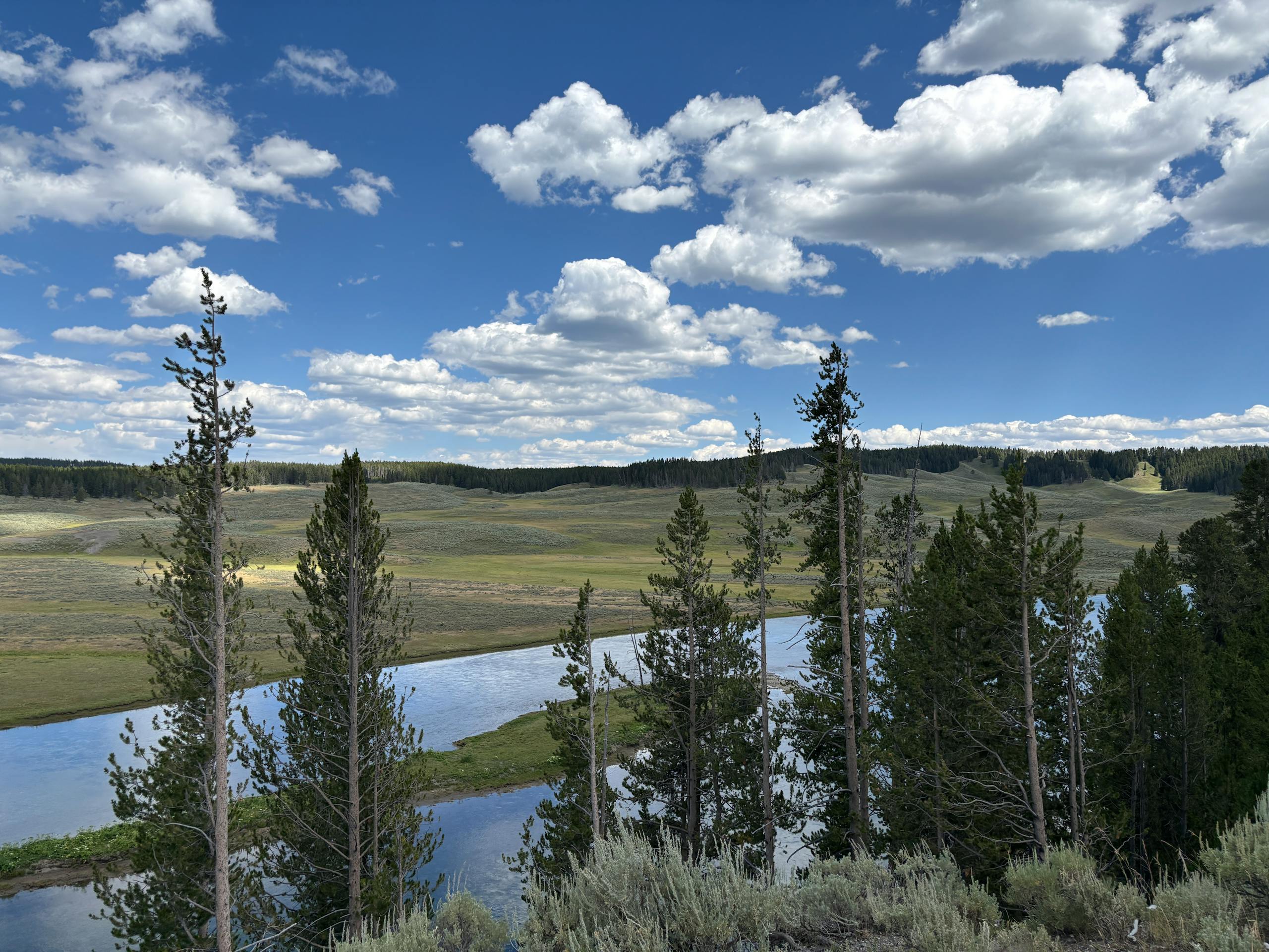 Fly fishing in Montana