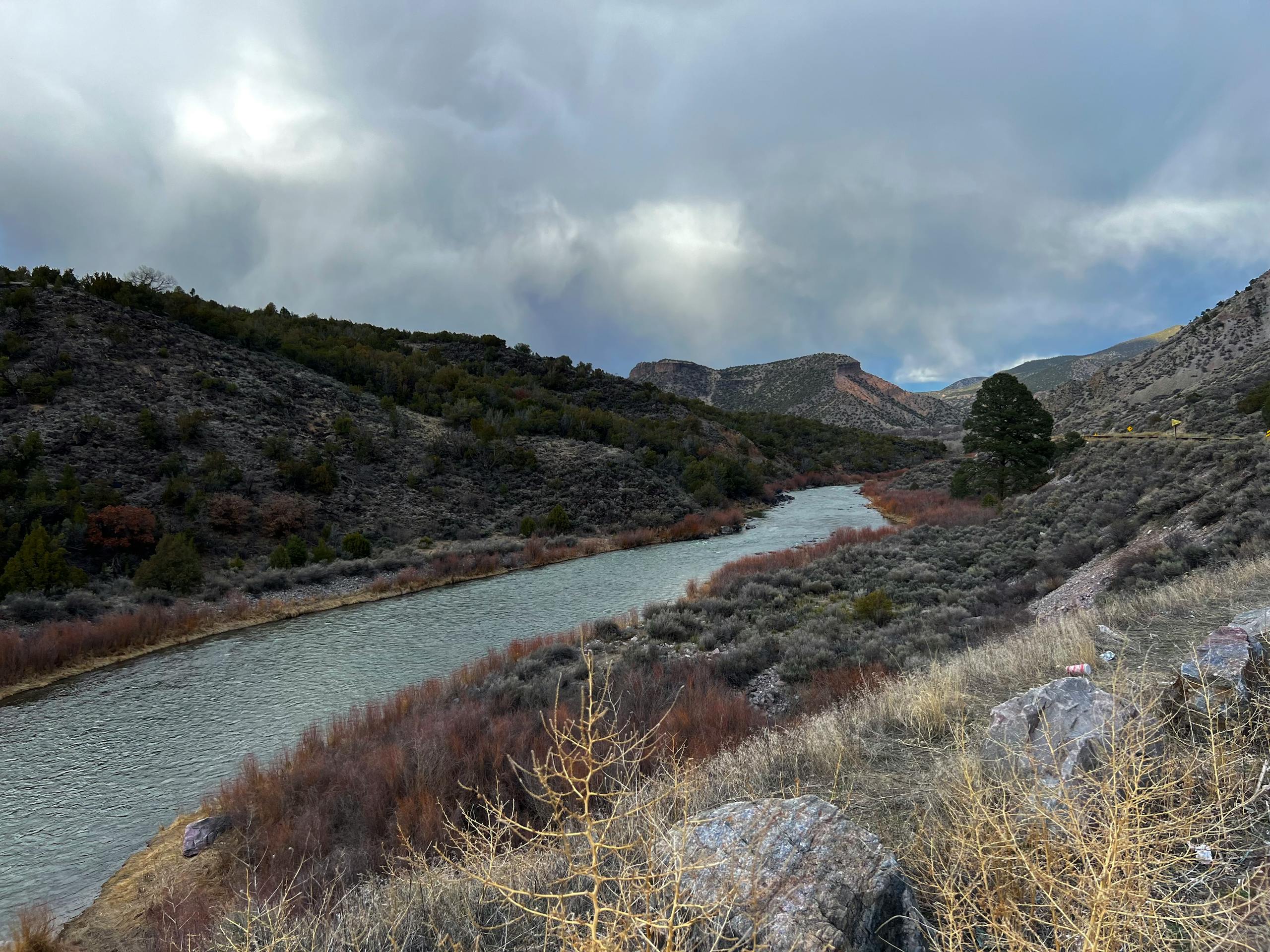 Fly fishing in New Mexico