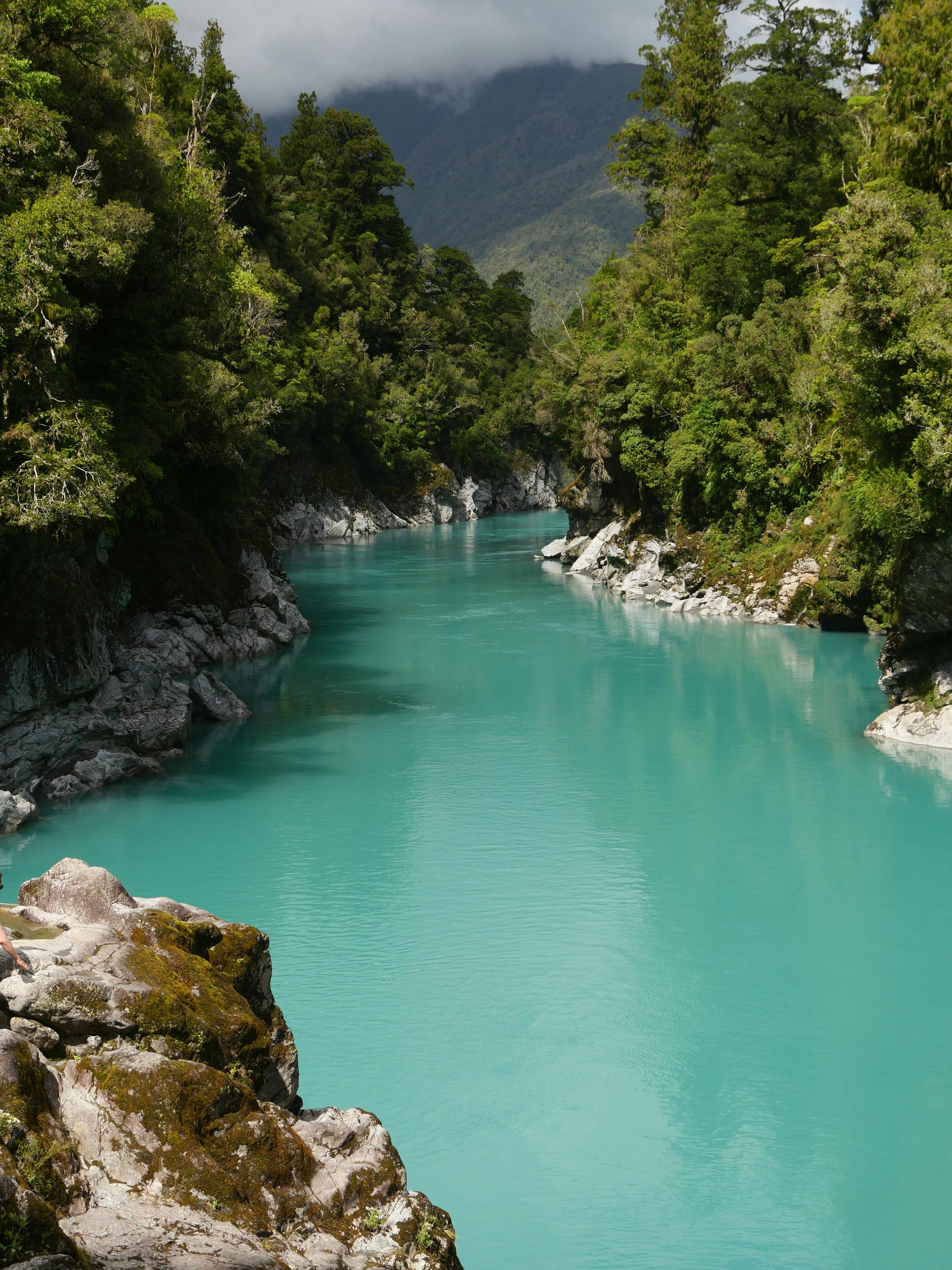 Fly fishing in New Zealand