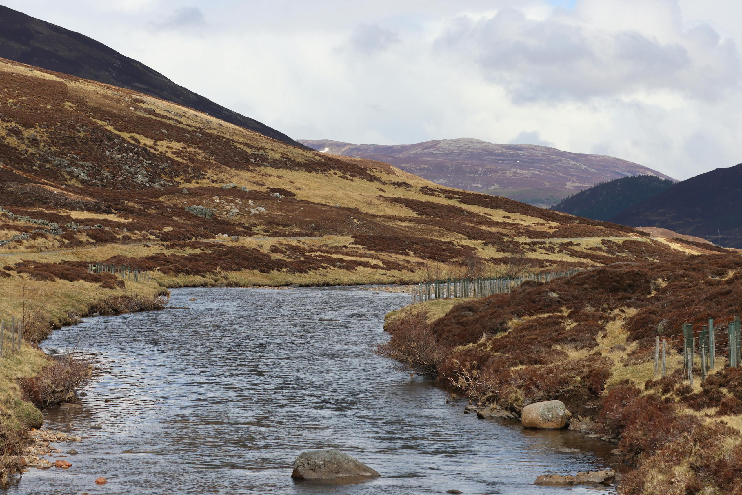 Fly fishing in Scotland