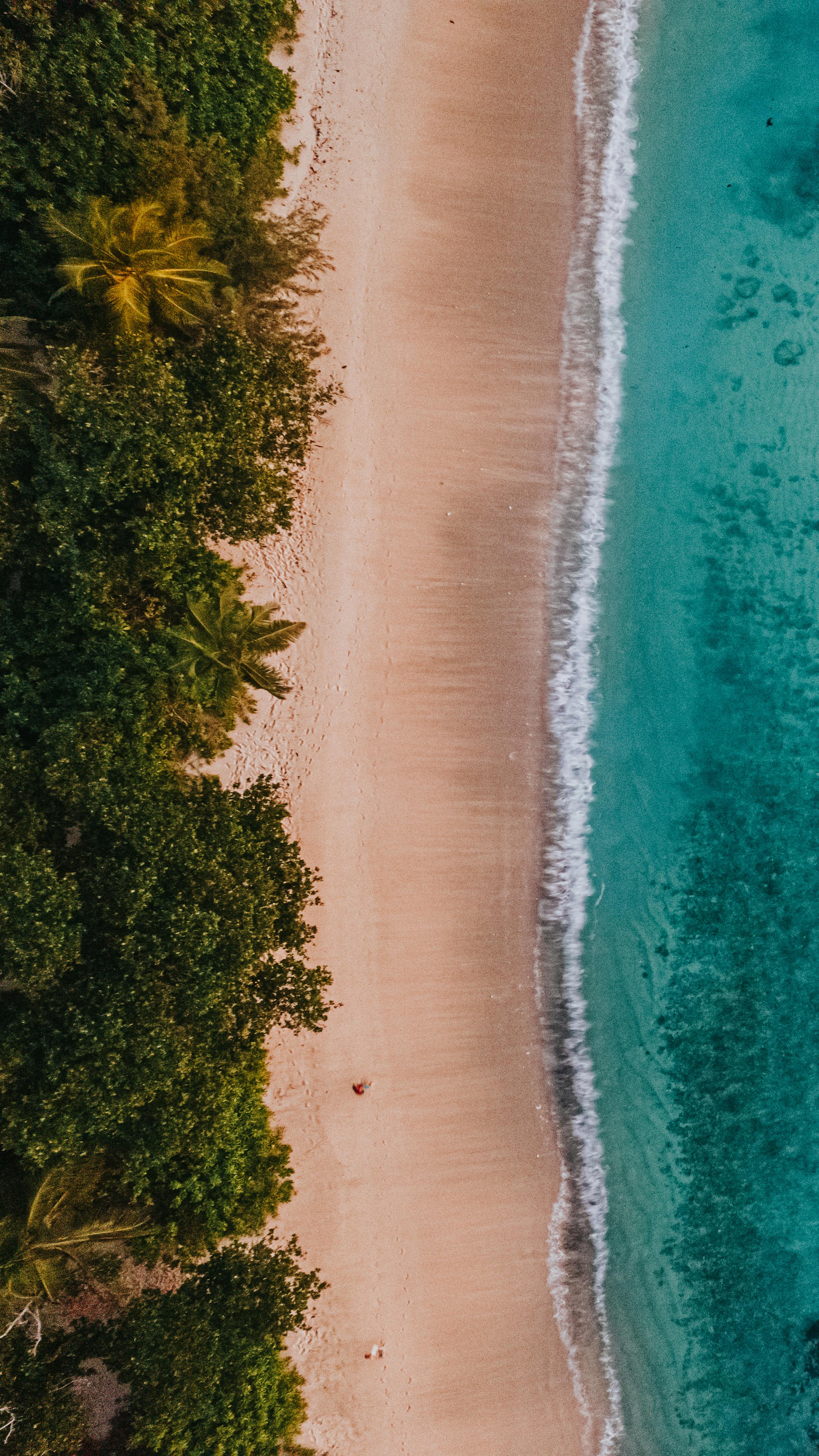 Fly fishing in Seychelles