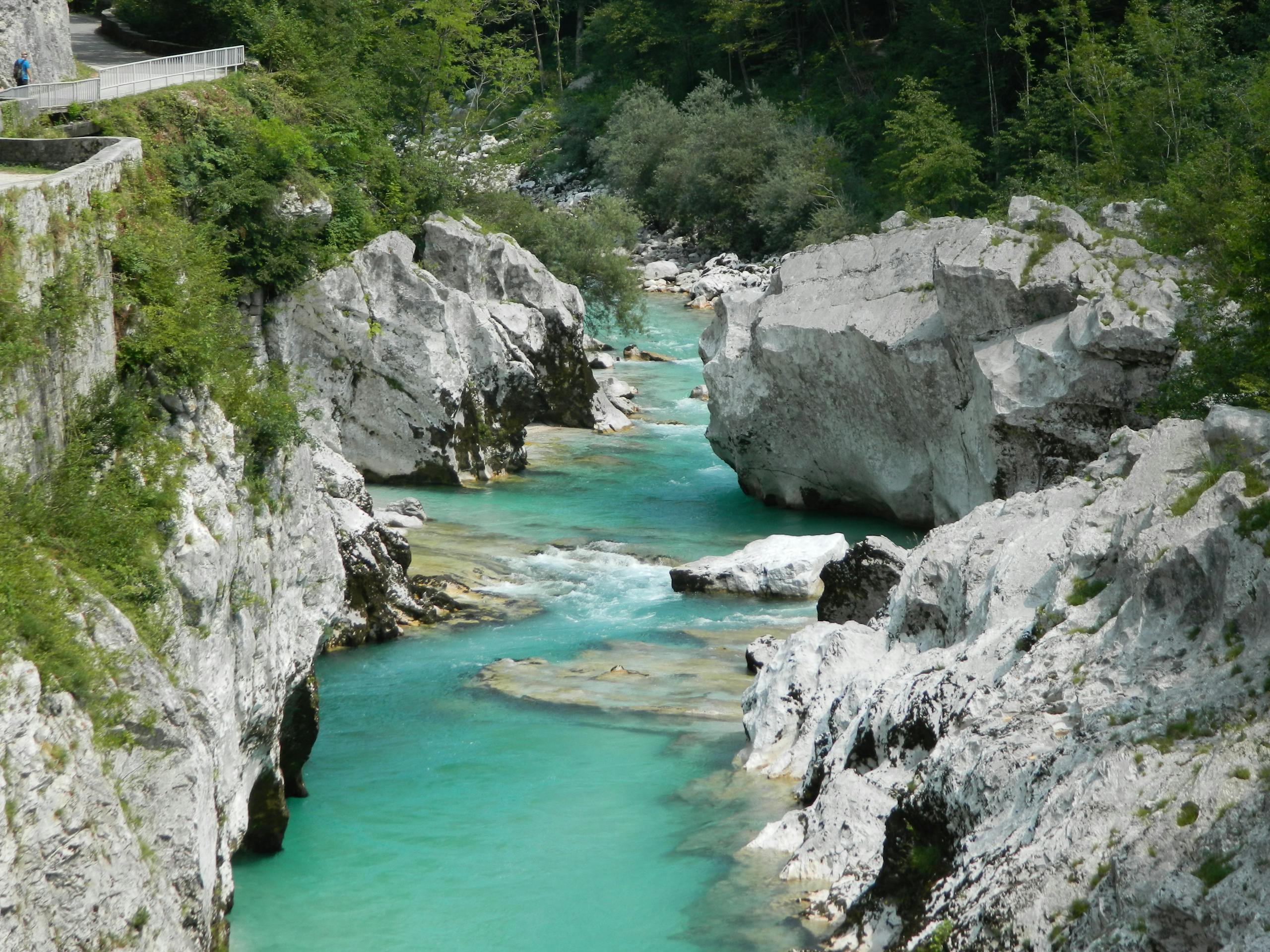 Fly fishing in Slovenia