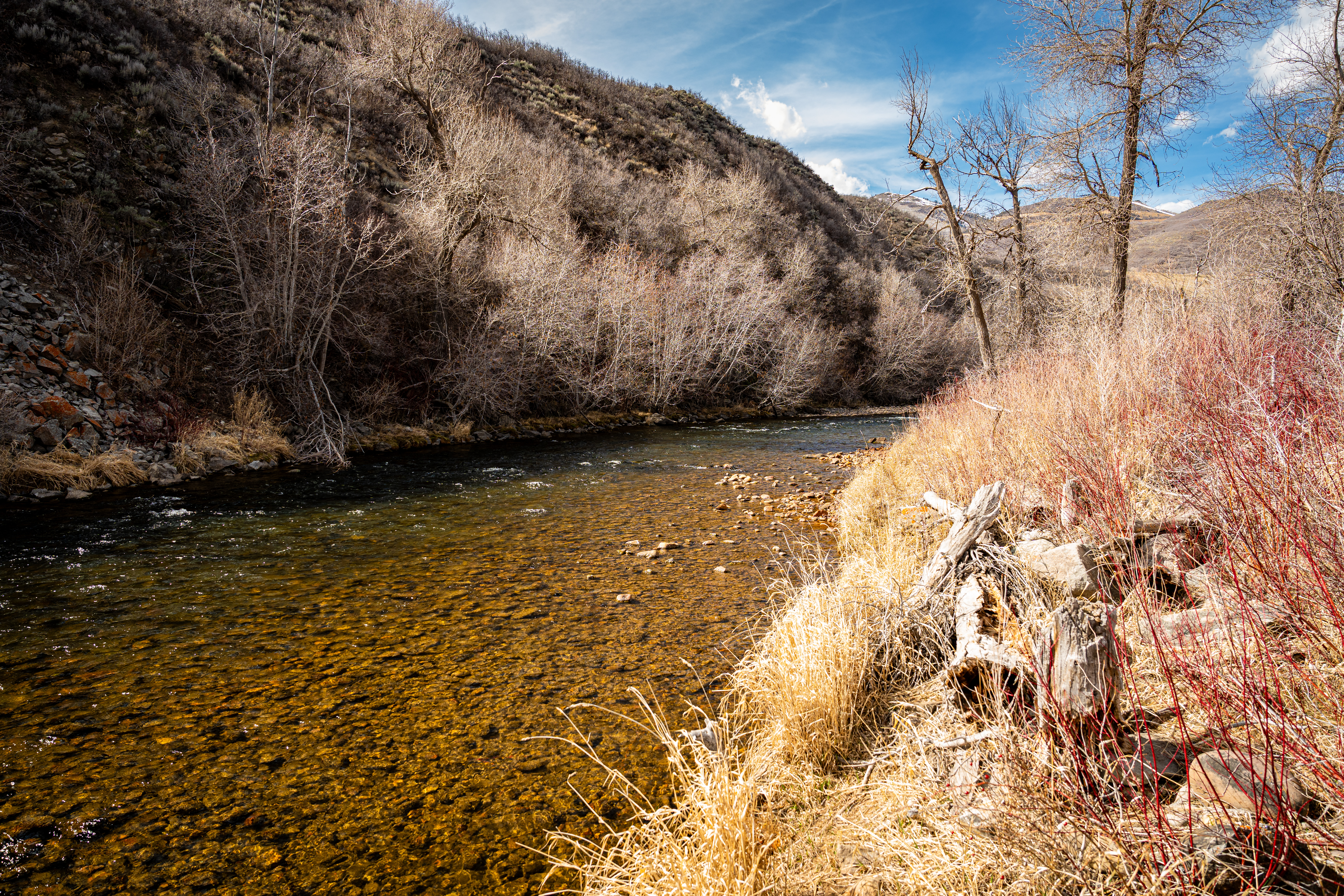 Provo River fly fishing