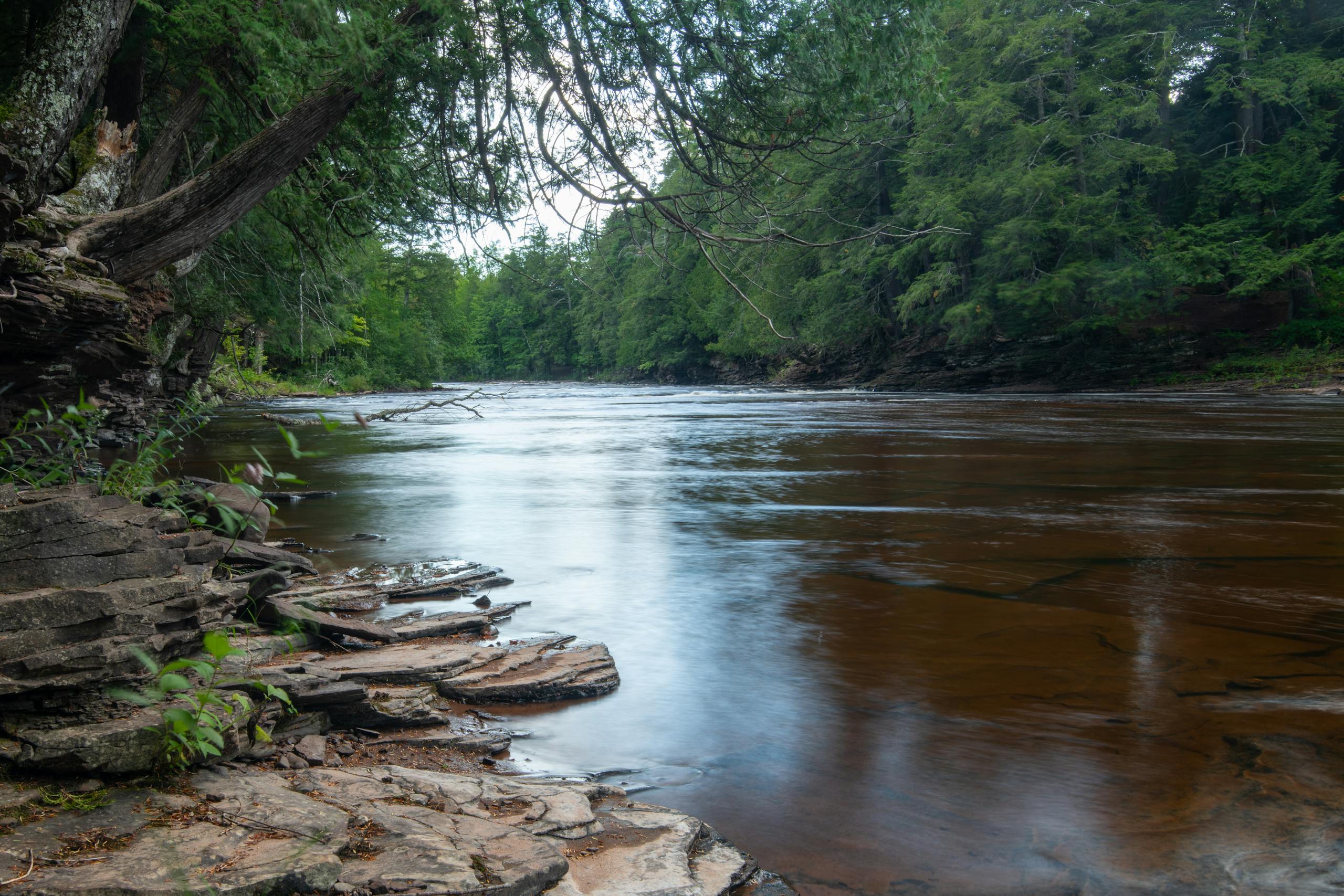 Au Sable River fly fishing