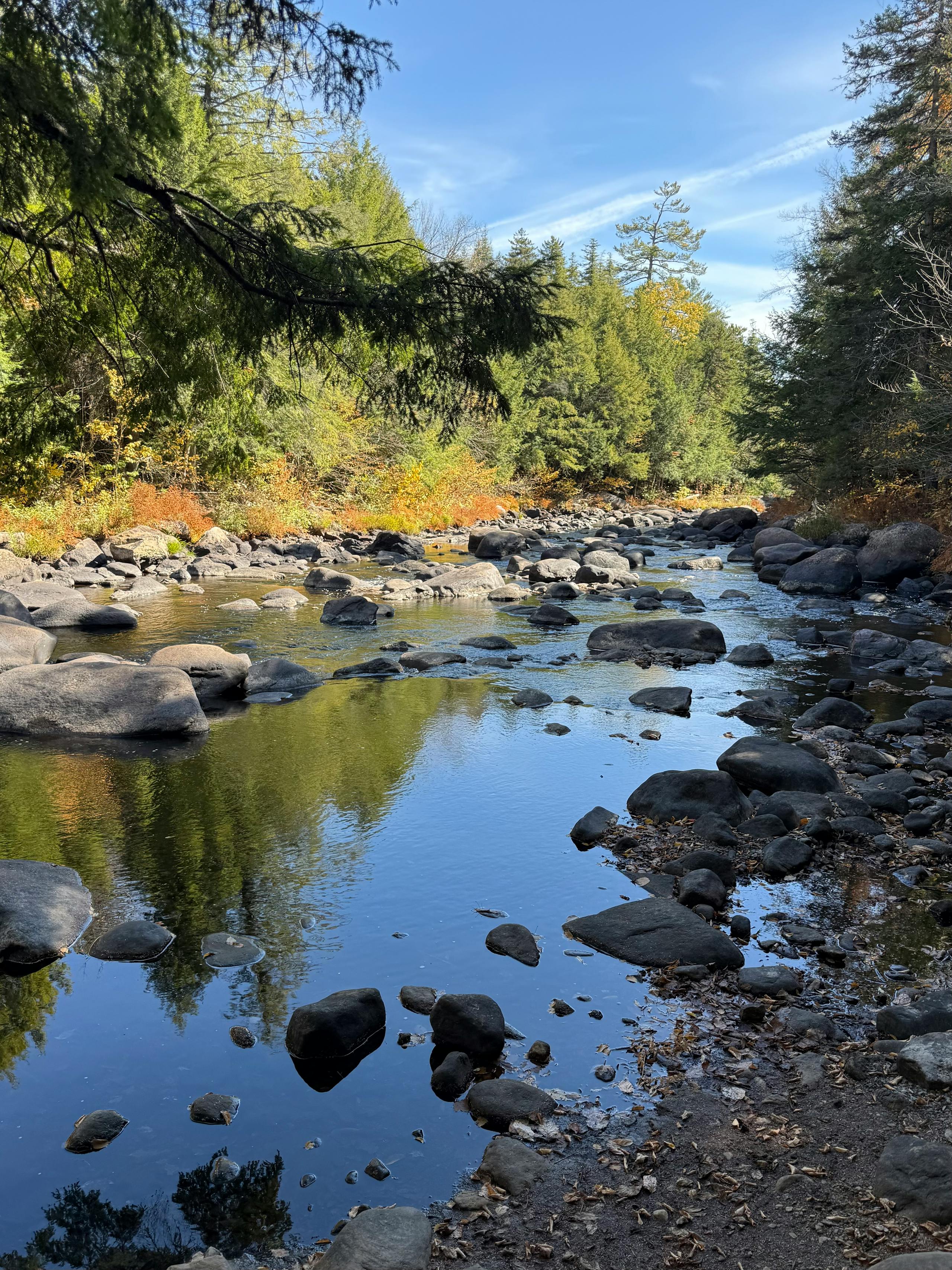 Beaverkill River