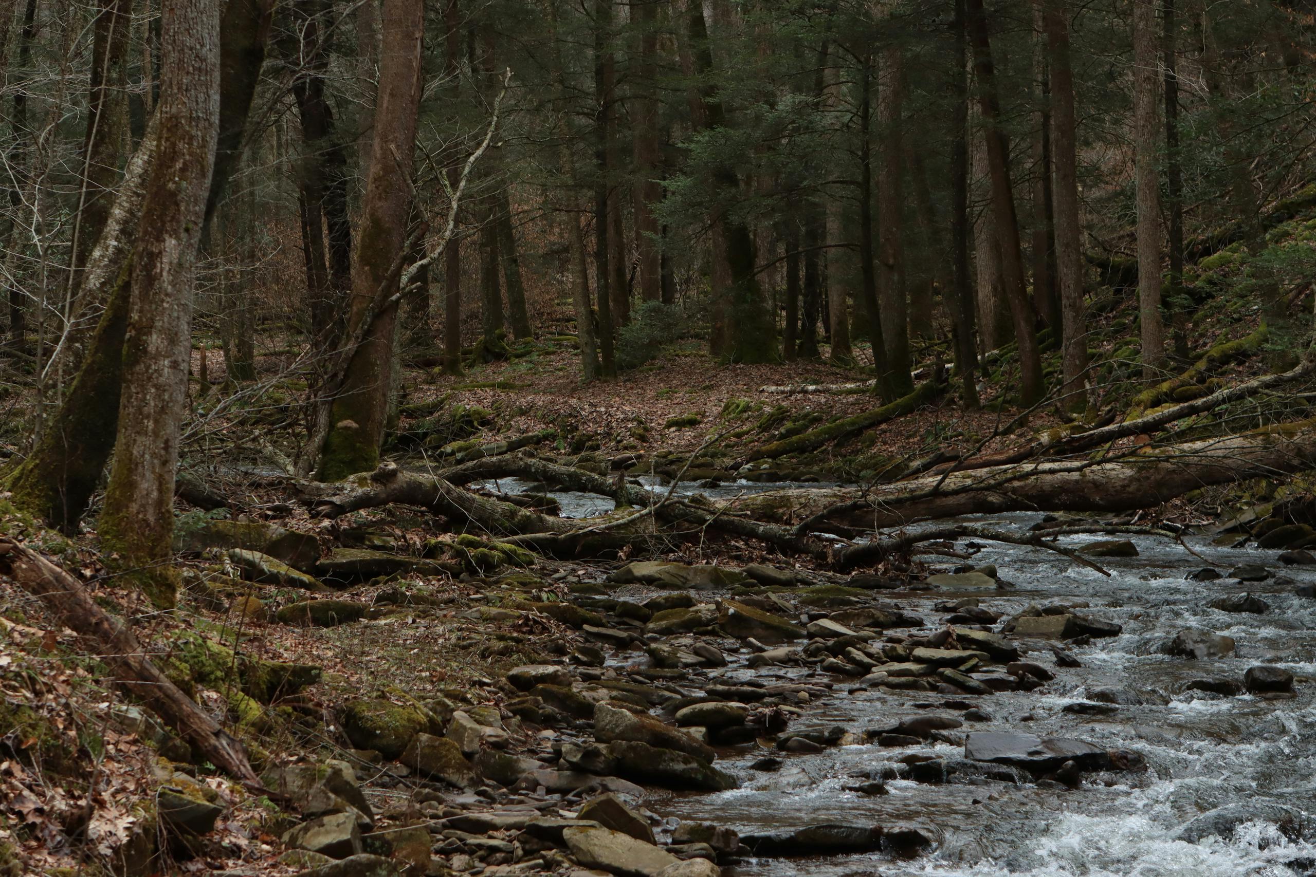 Big Gunpowder Falls River