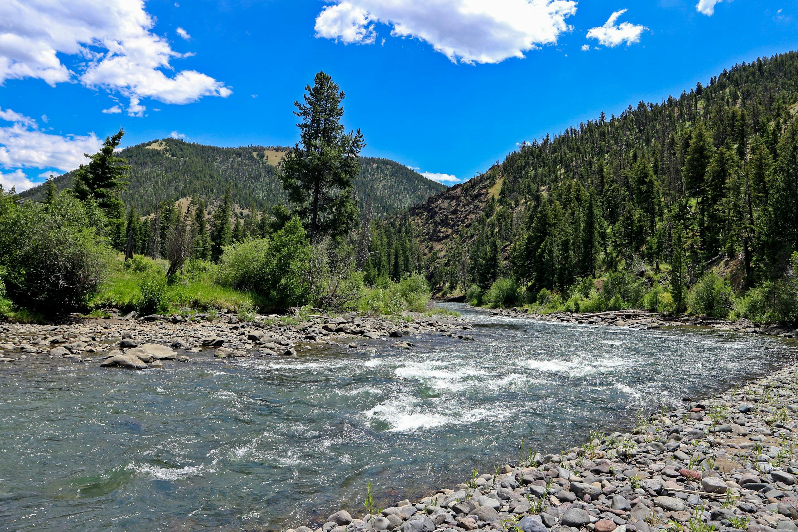 Big Hole River fly fishing
