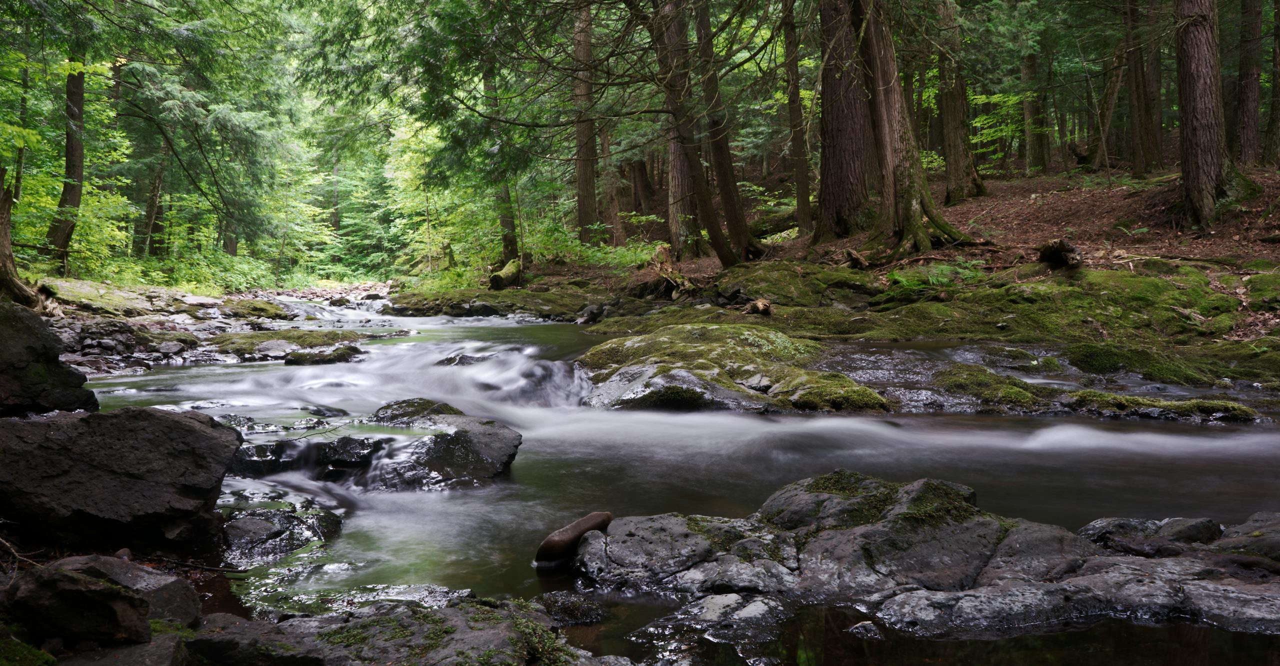 Boardman River