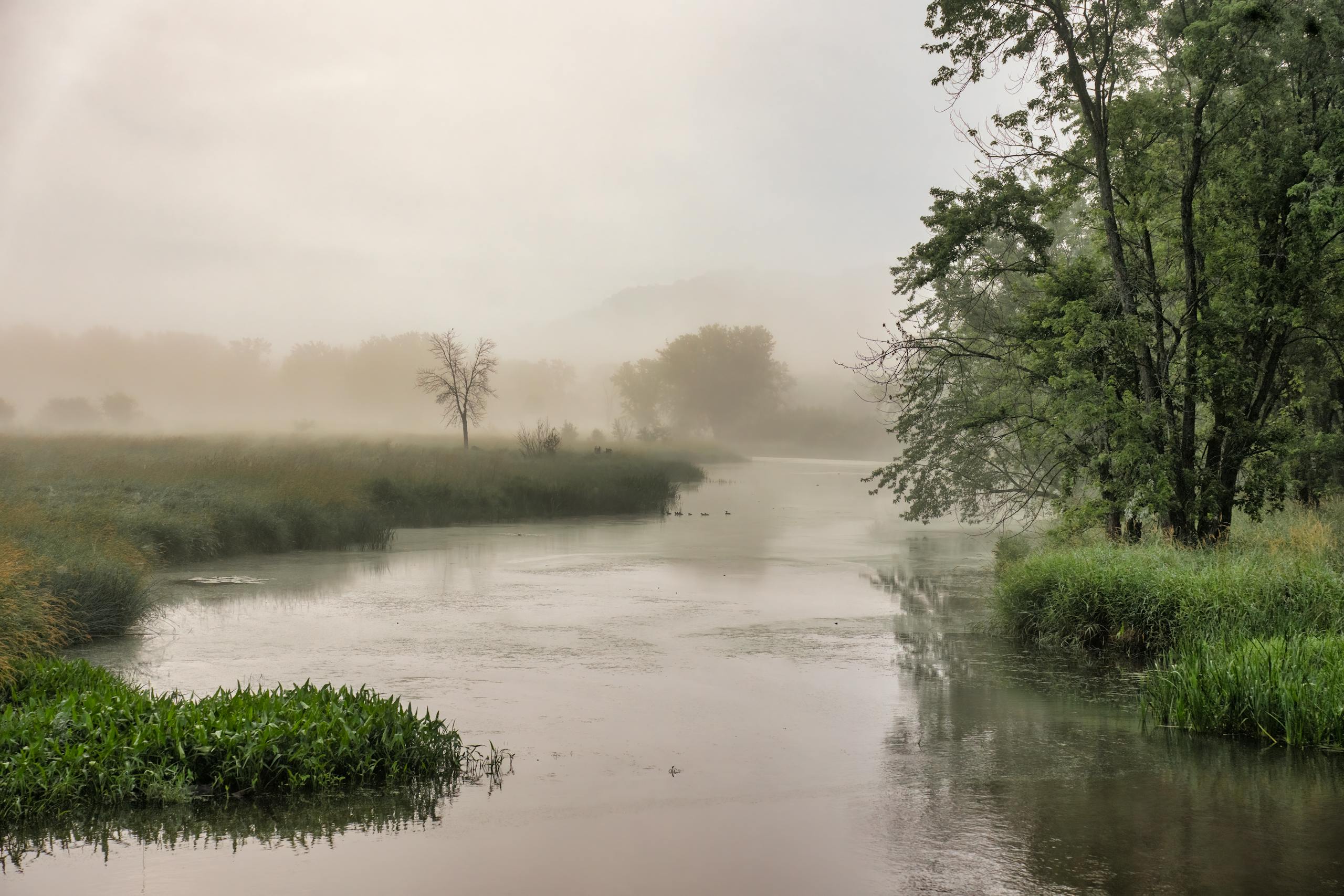 Brule River (Wisconsin)