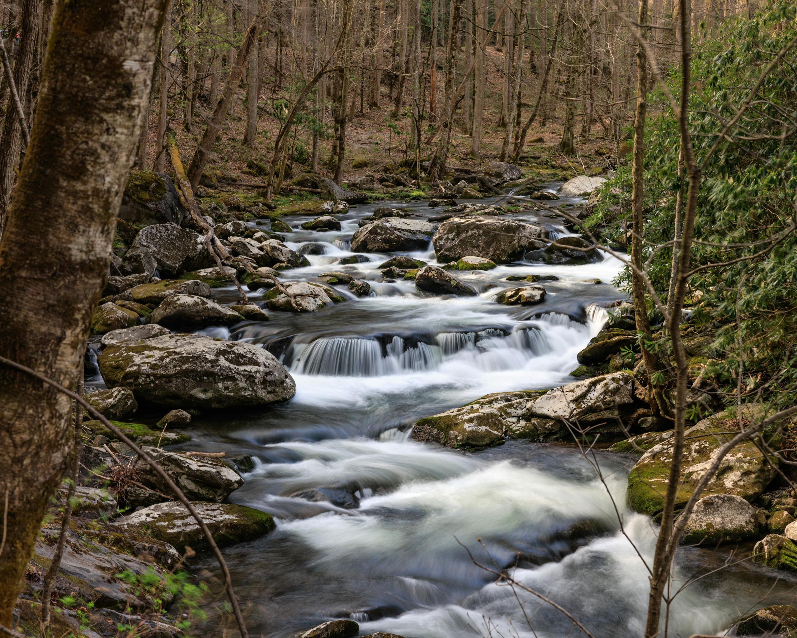 Caney Fork River