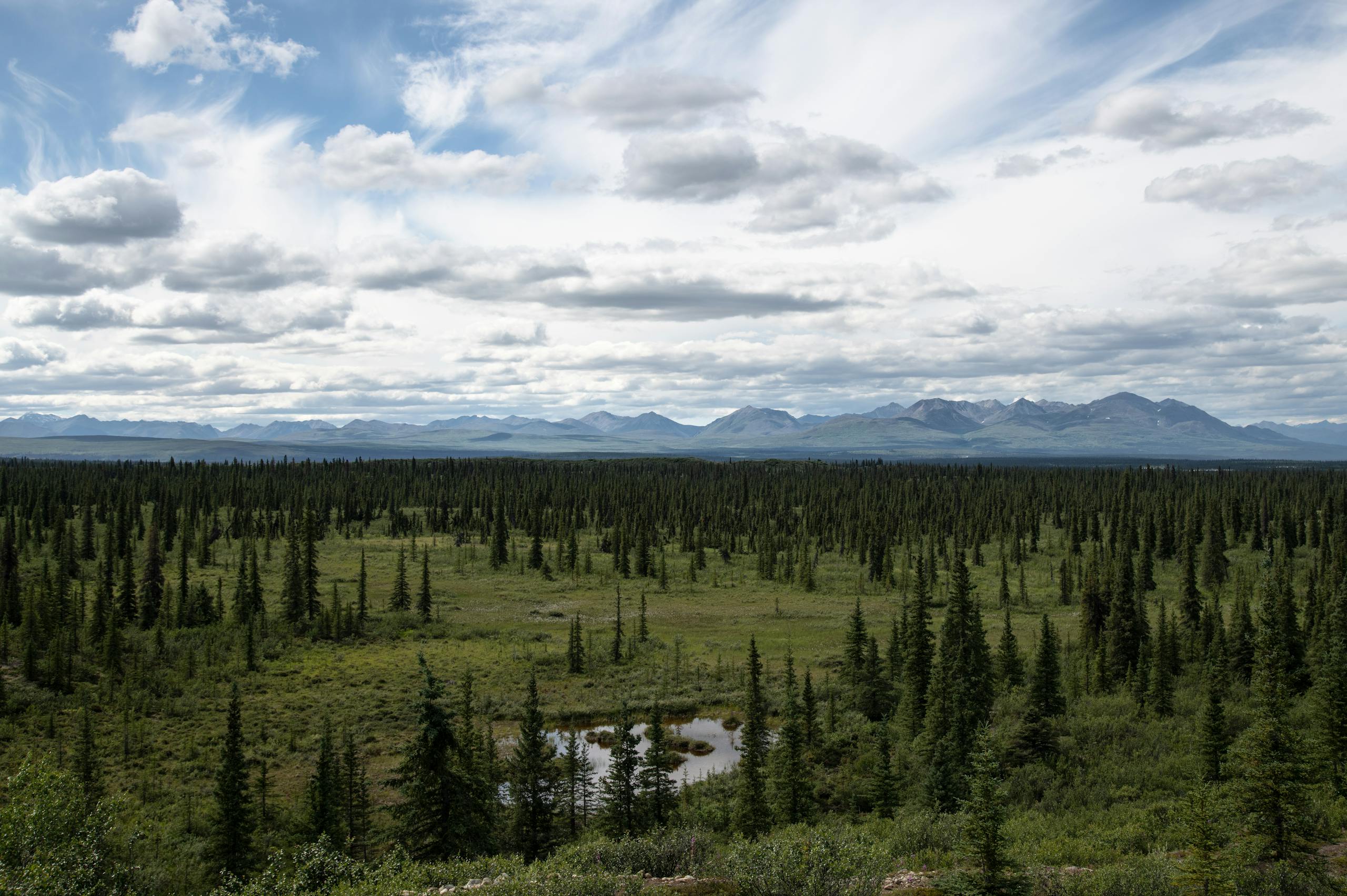 Chena River (Alaska)