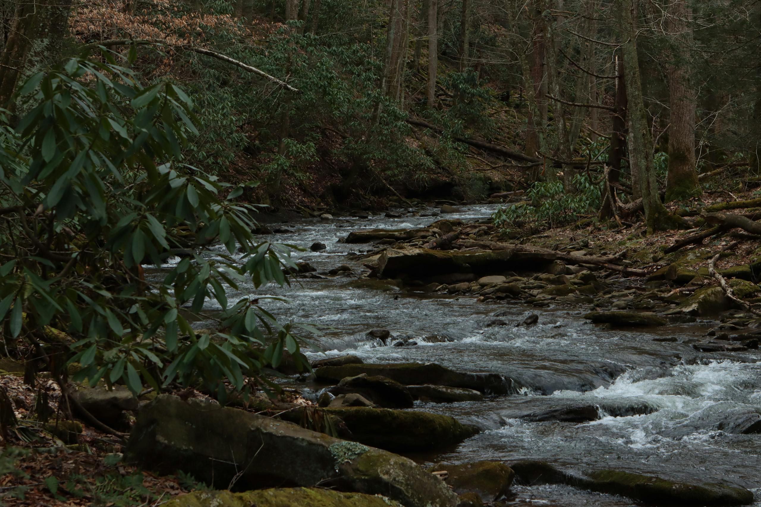Cranberry River