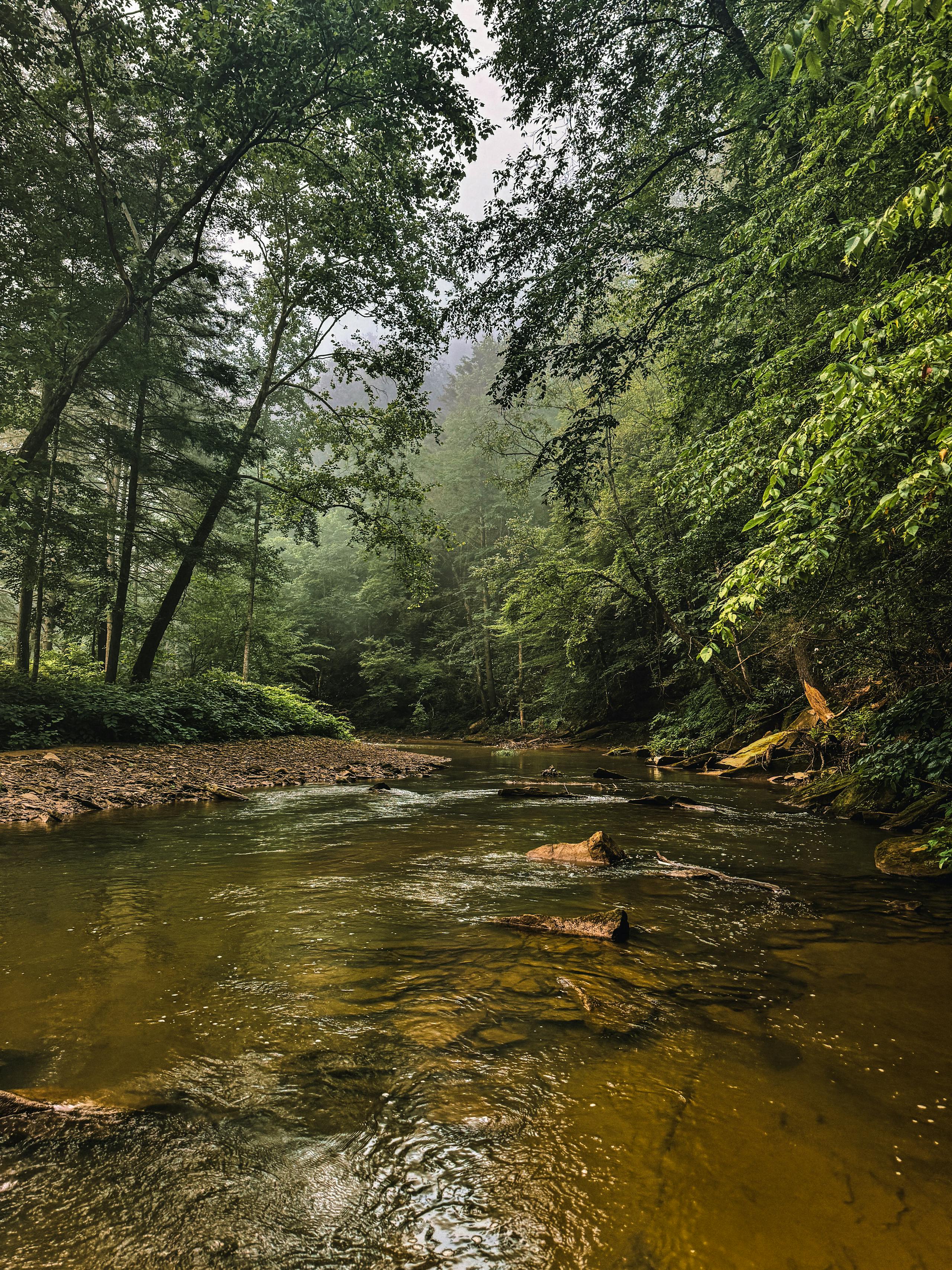 Cumberland River
