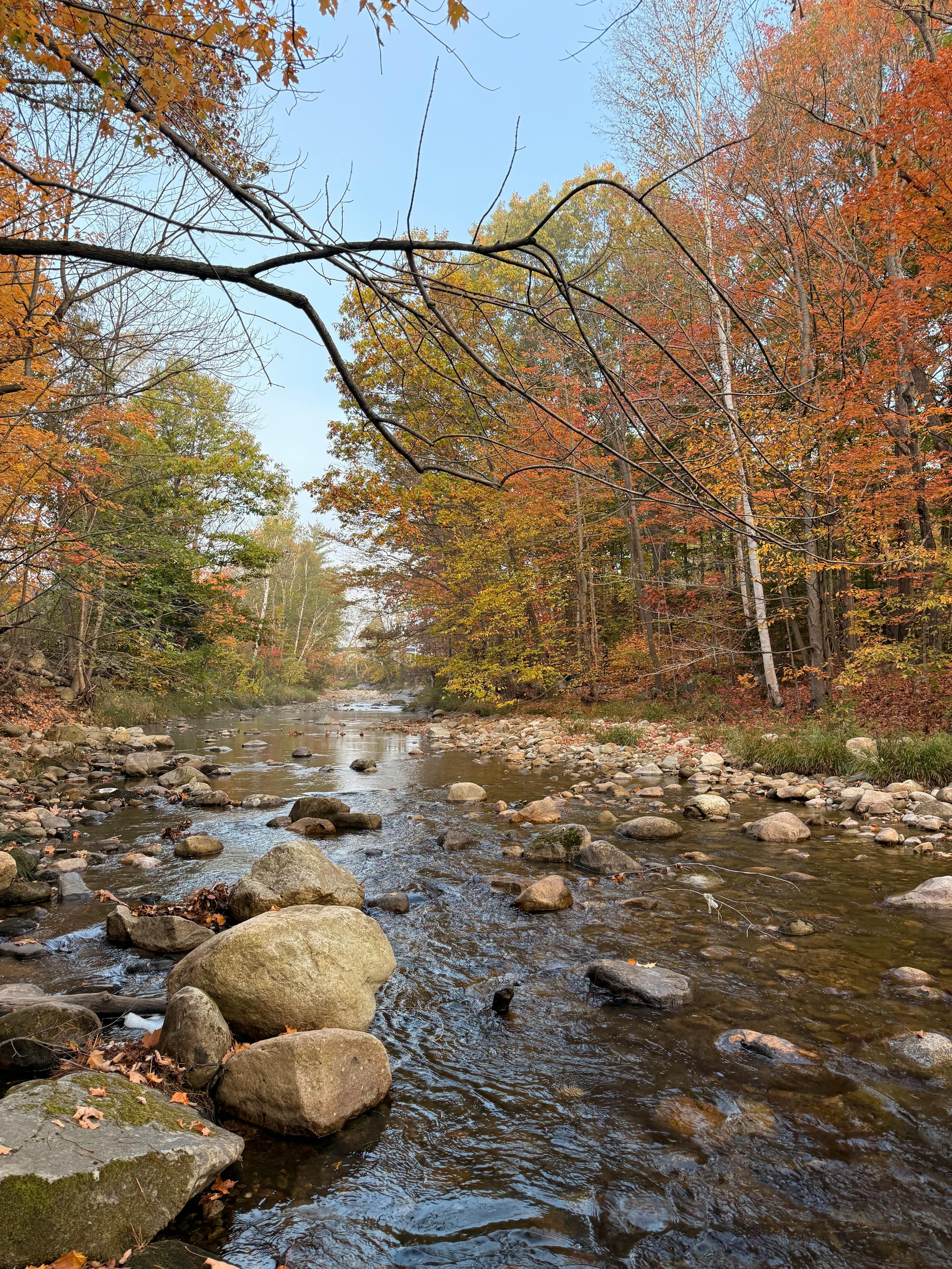 Delaware River East Branch