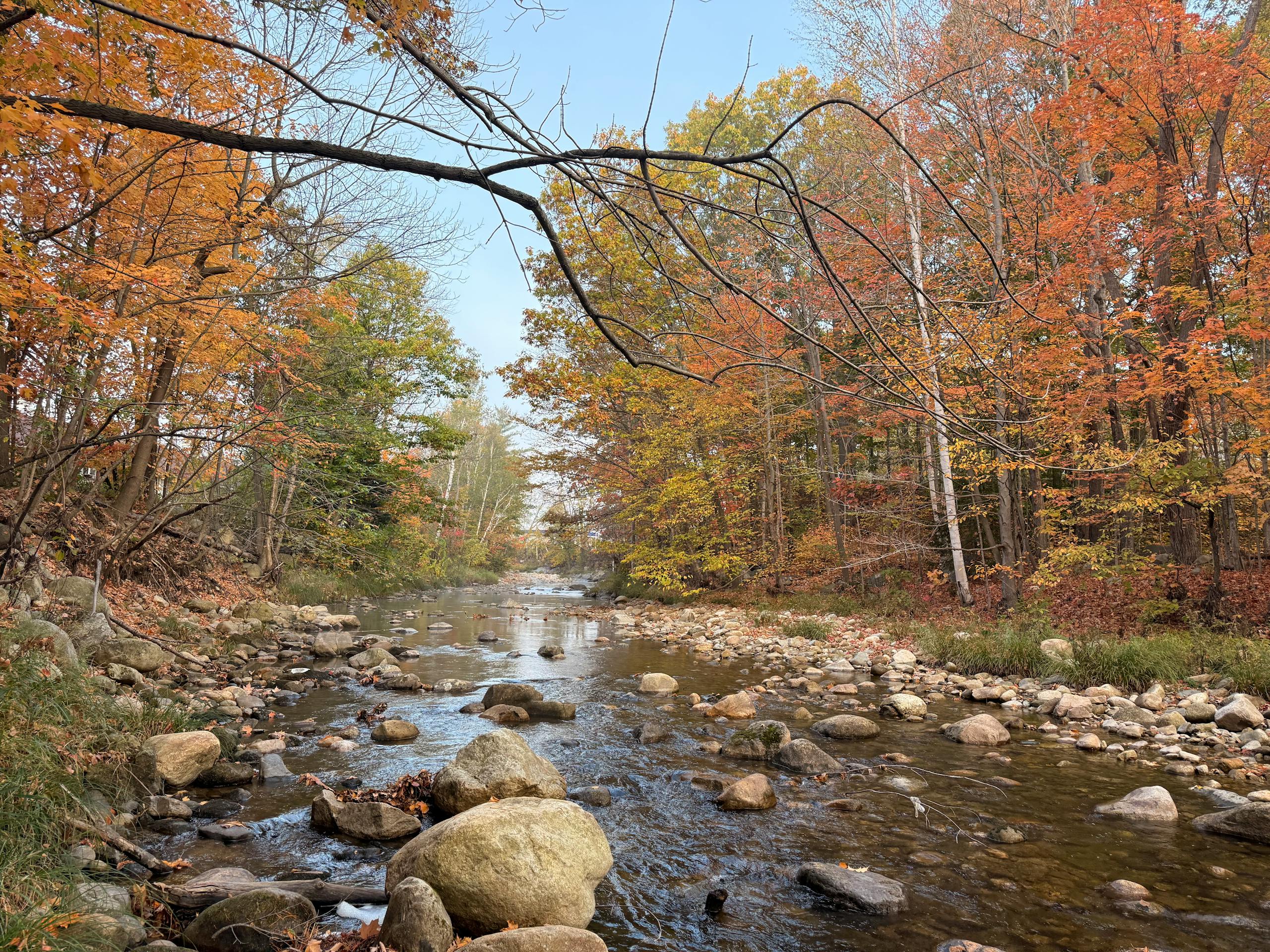Delaware River West Branch