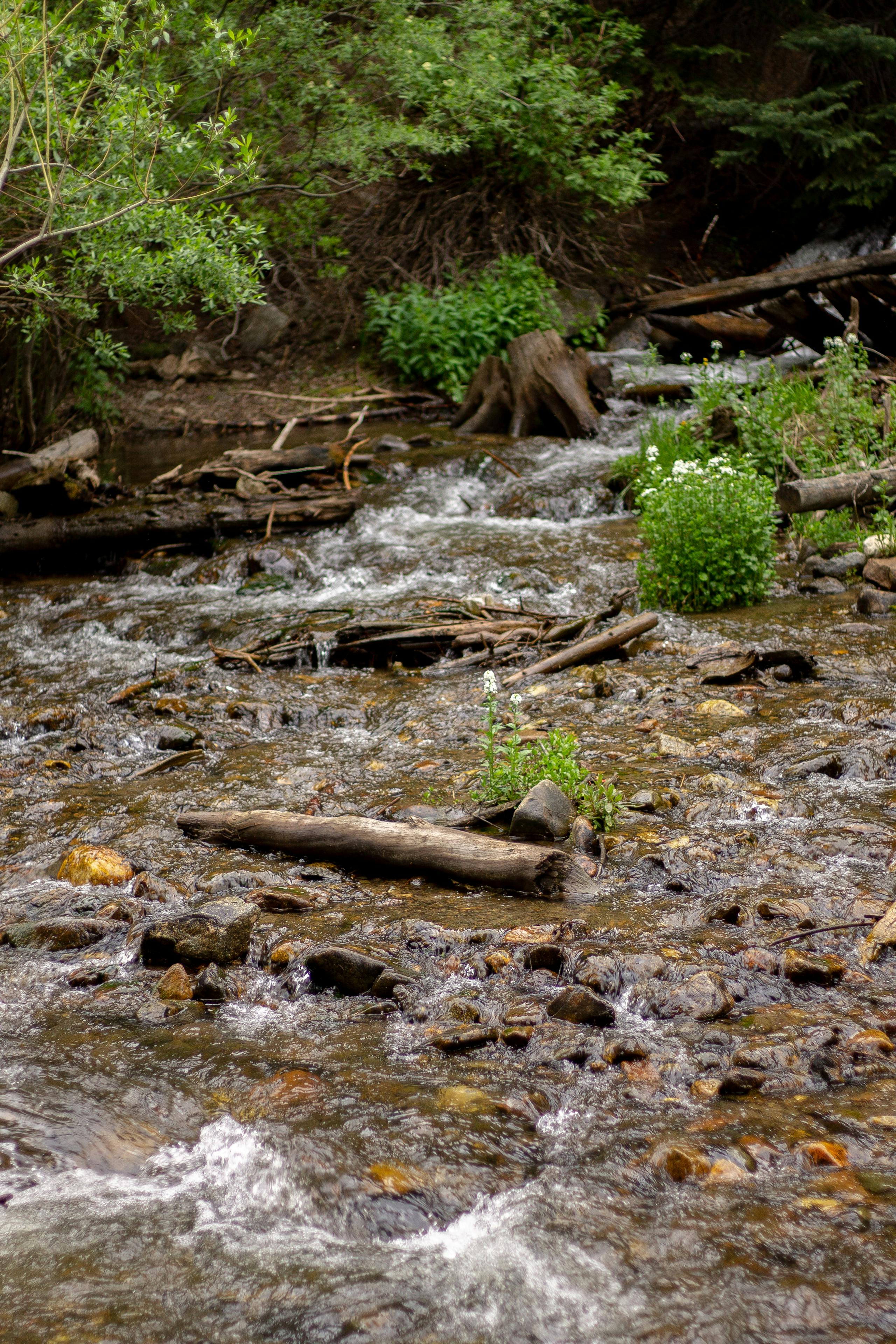 Eagle River